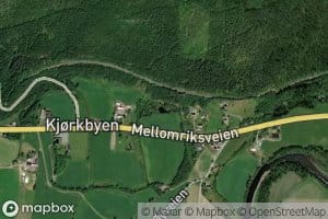 Kjorkbytjonna