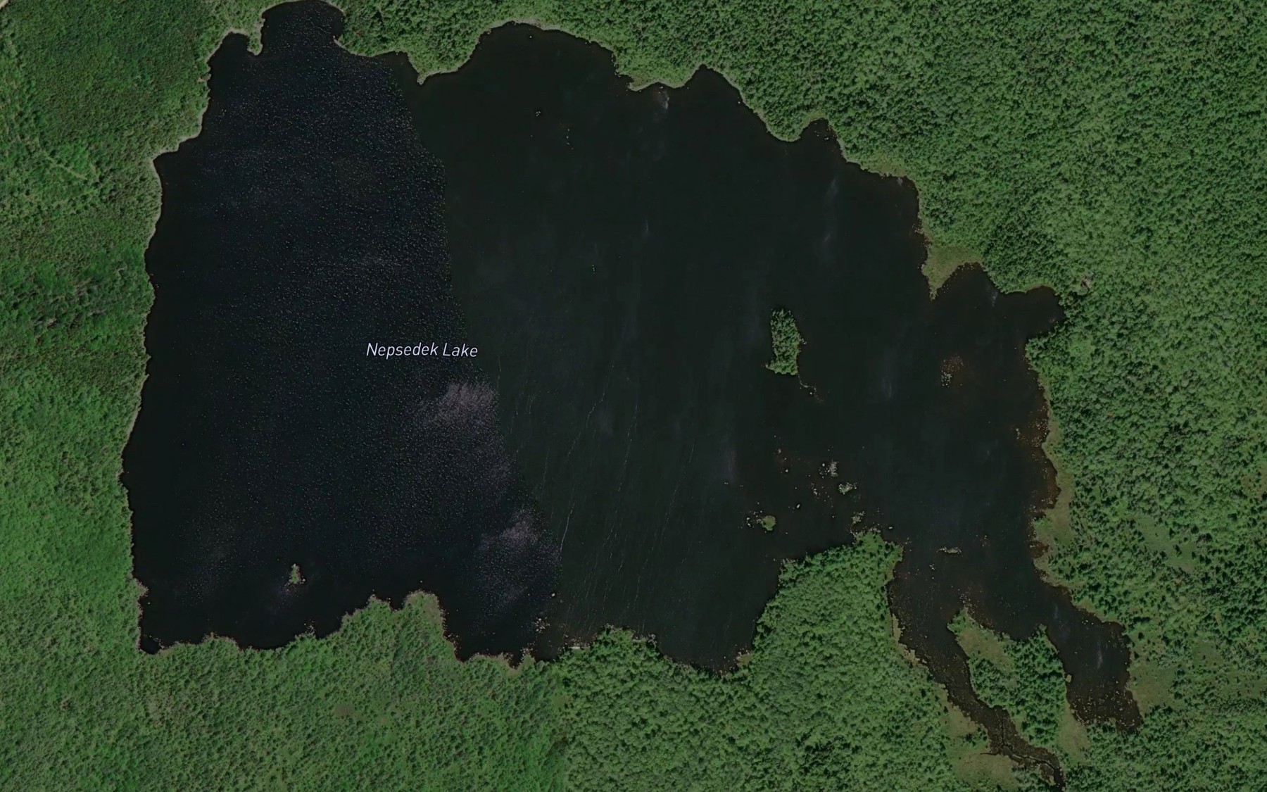 Satellite map of the Nepsedek Lake