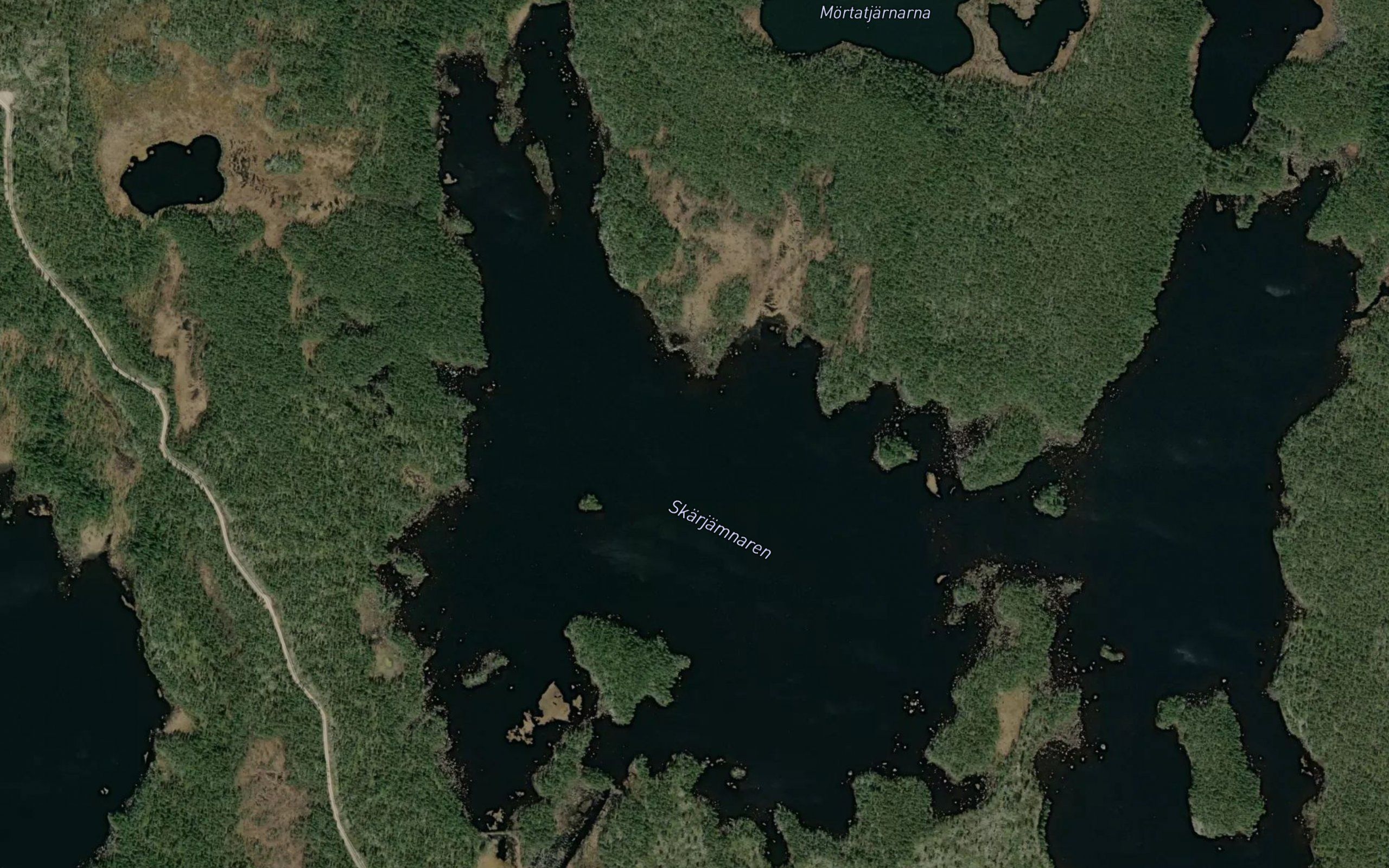 Skarjamnaren