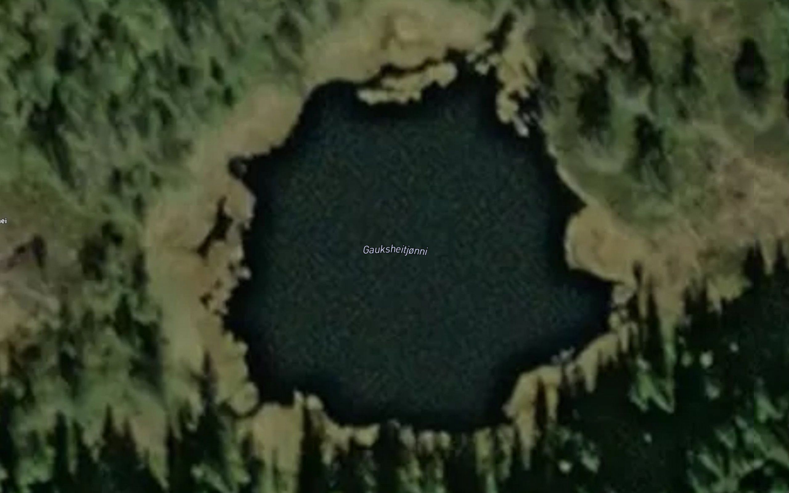 Gauksheitjonni