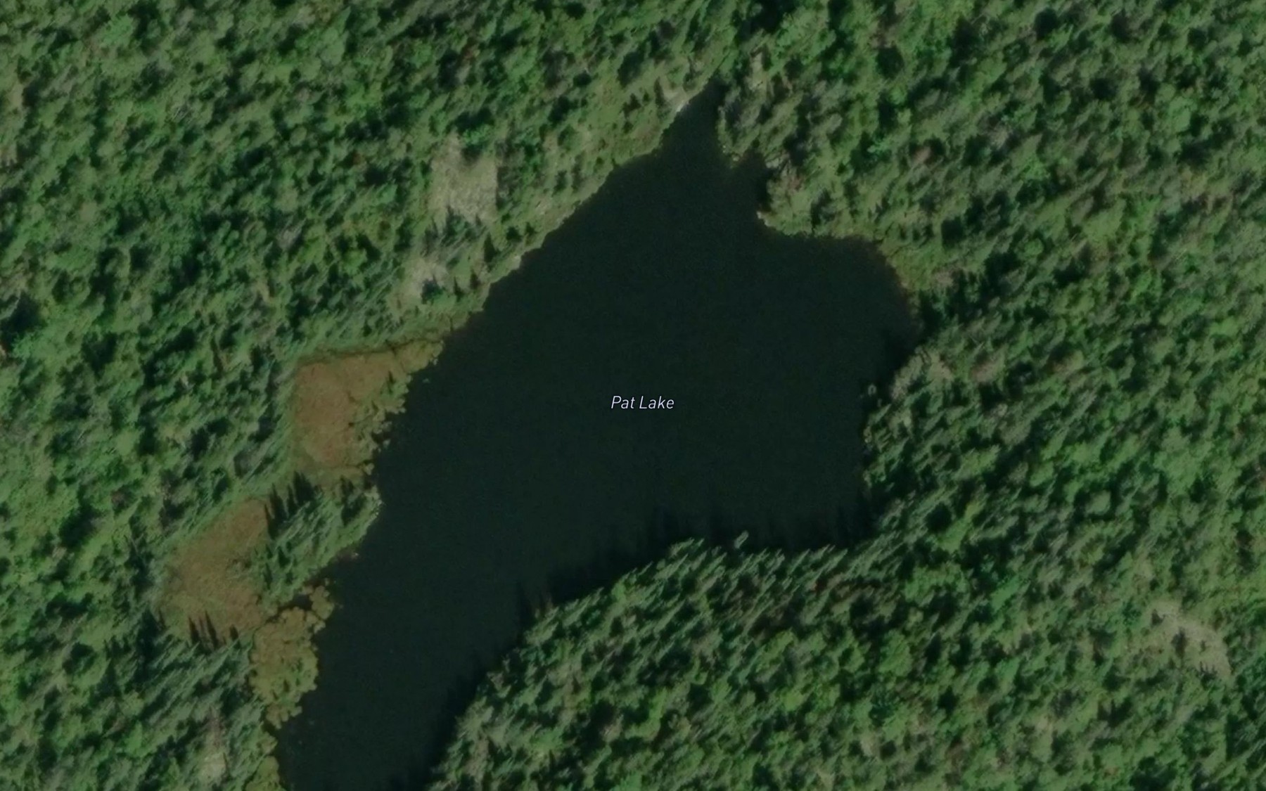 Satellite map of the Pat Lake