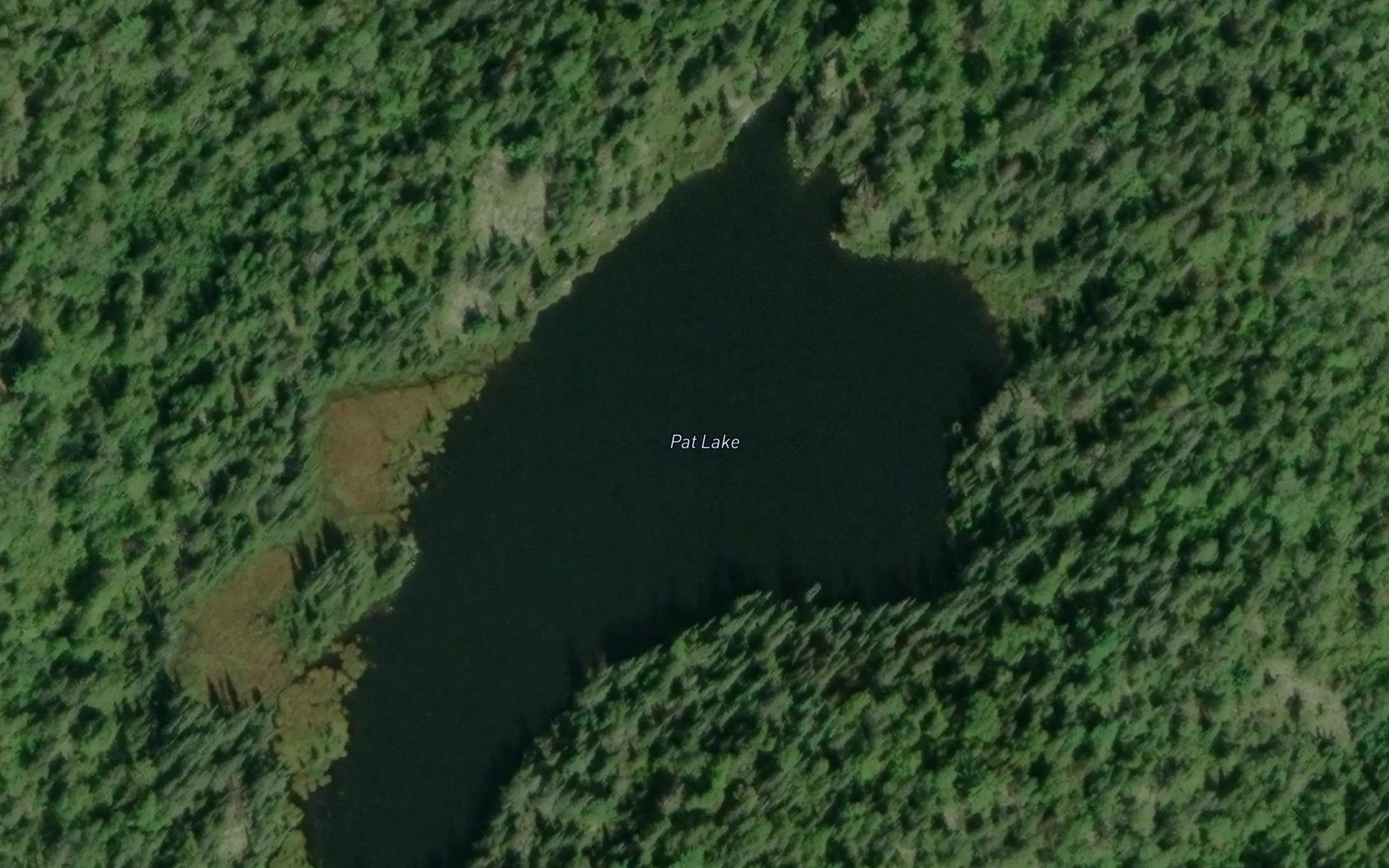 Pat Lake