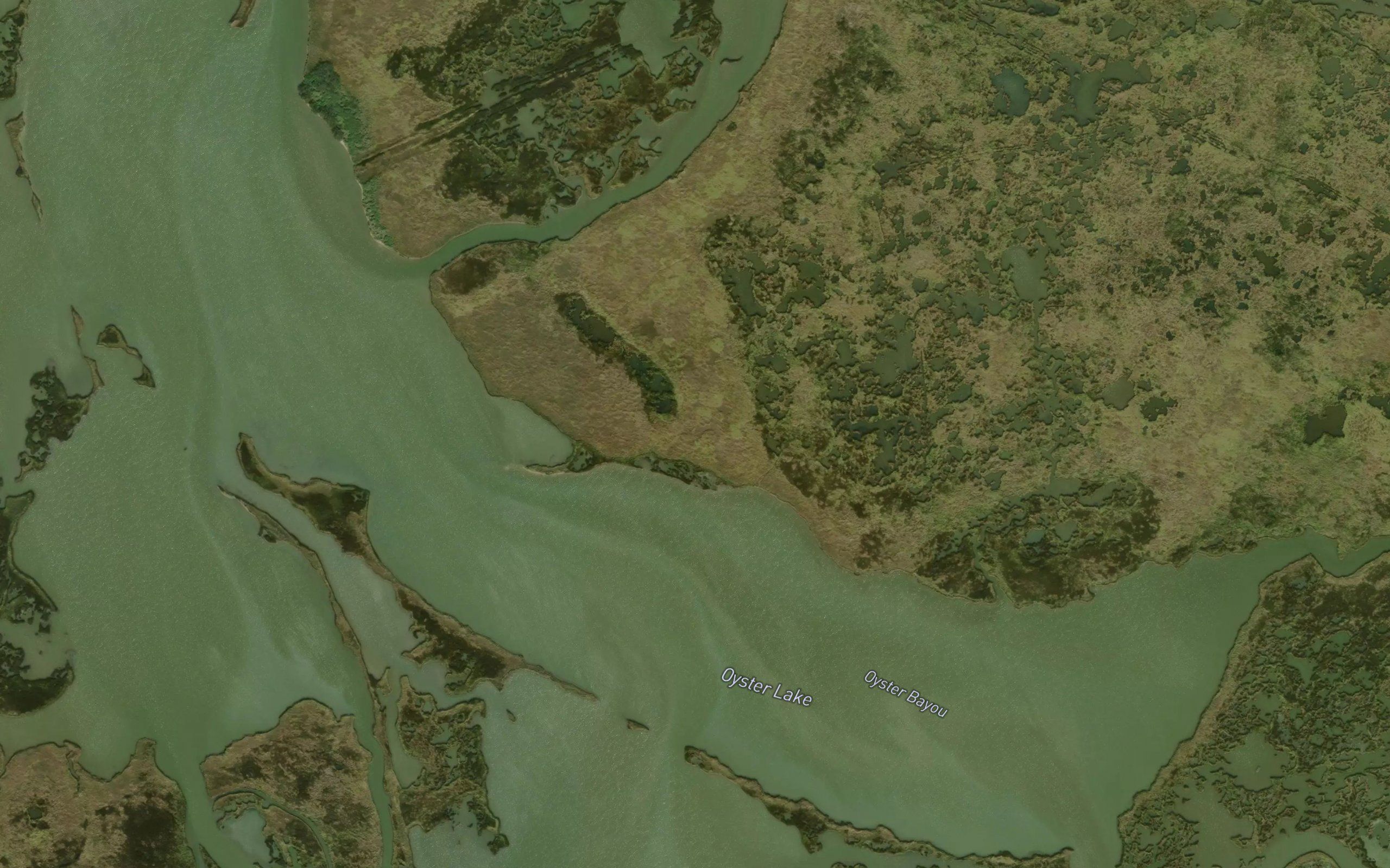 Oyster Lake