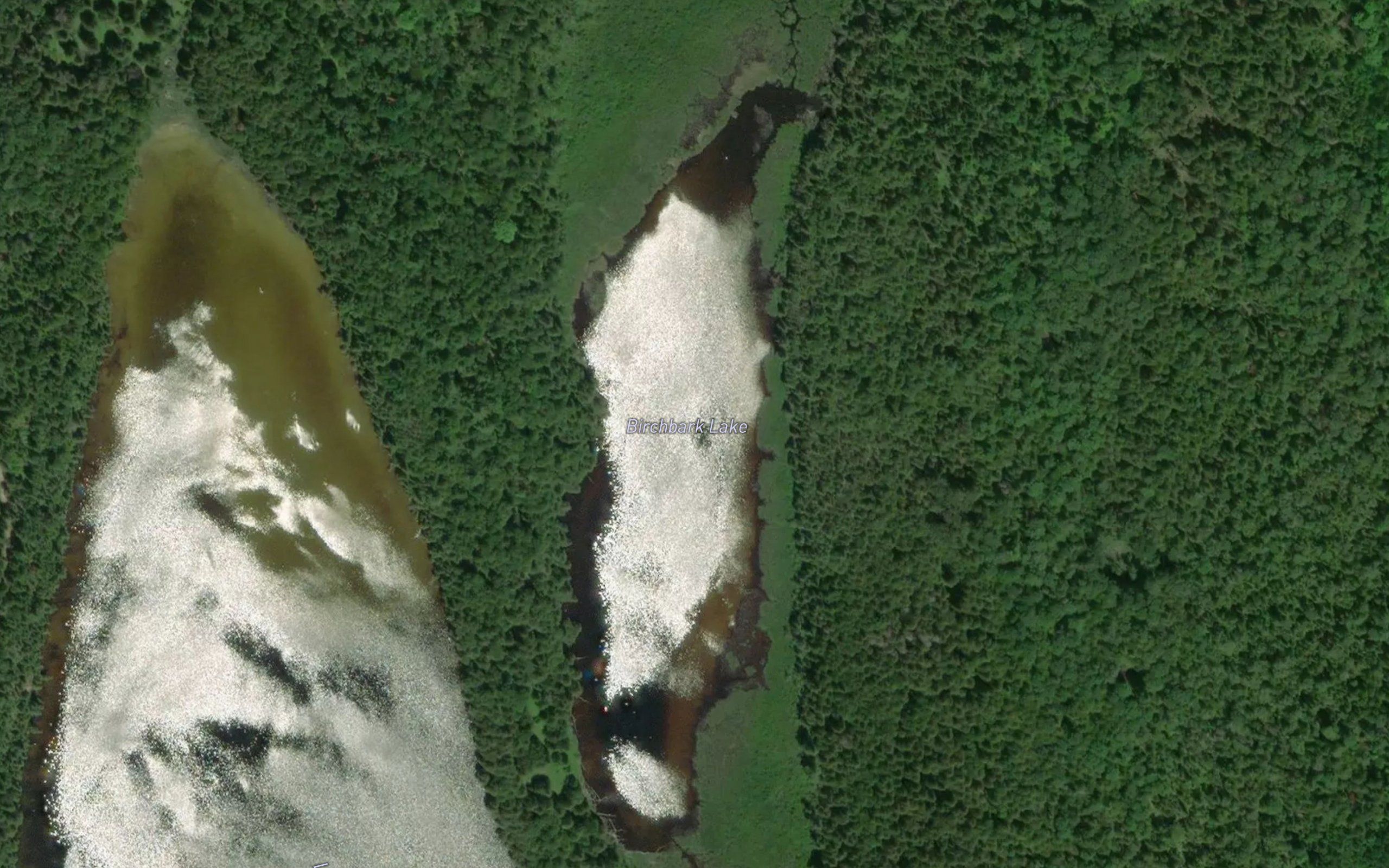 Birchbark Lake