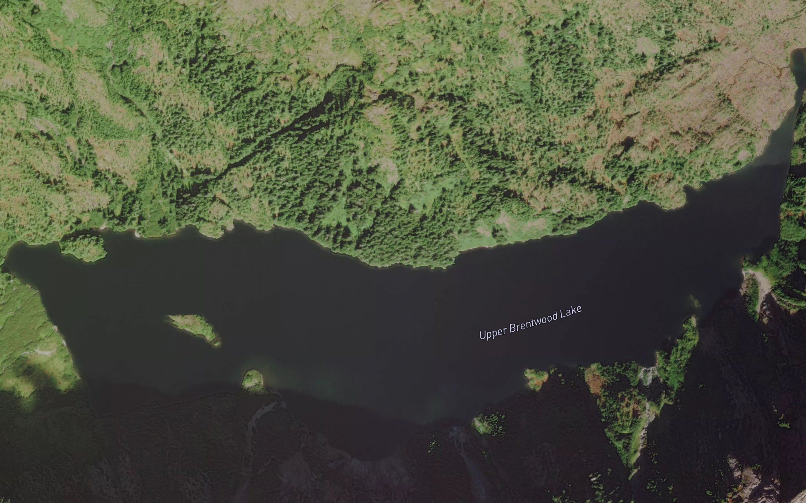 Upper Brentwood Lake