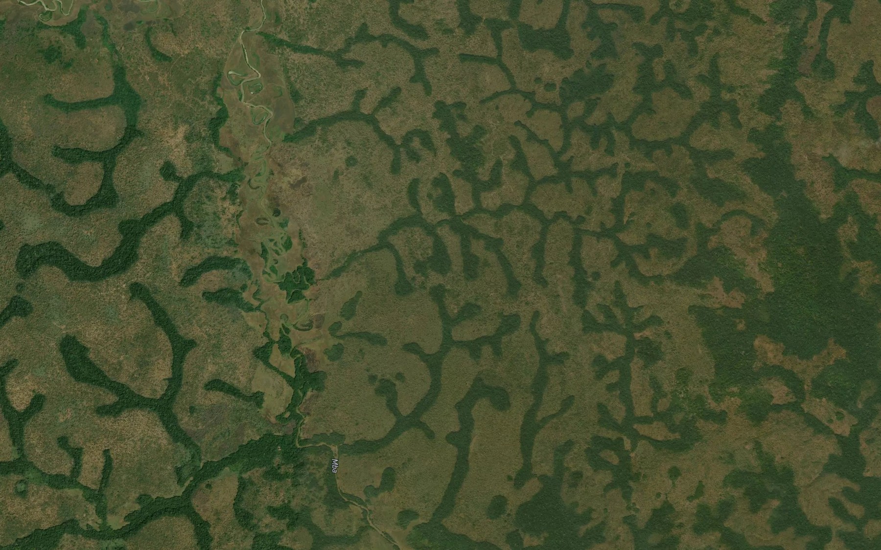 Satellite map of the Mamizi
