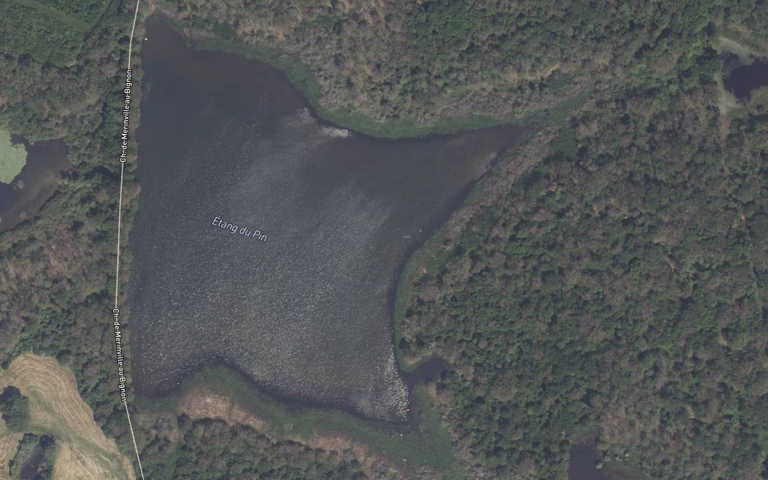 Etang du Pin
