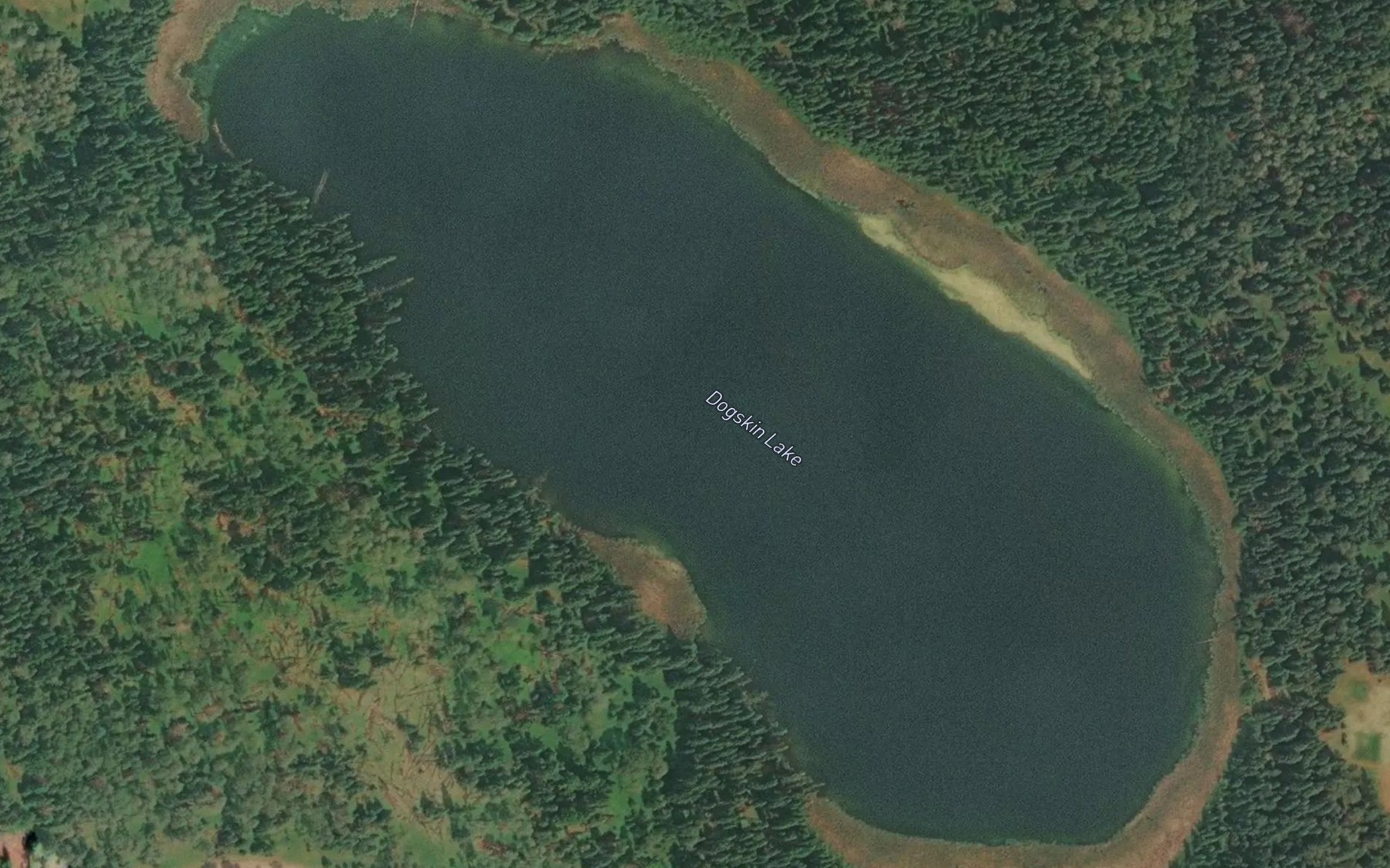 Satellite map of the Dogskin Lake