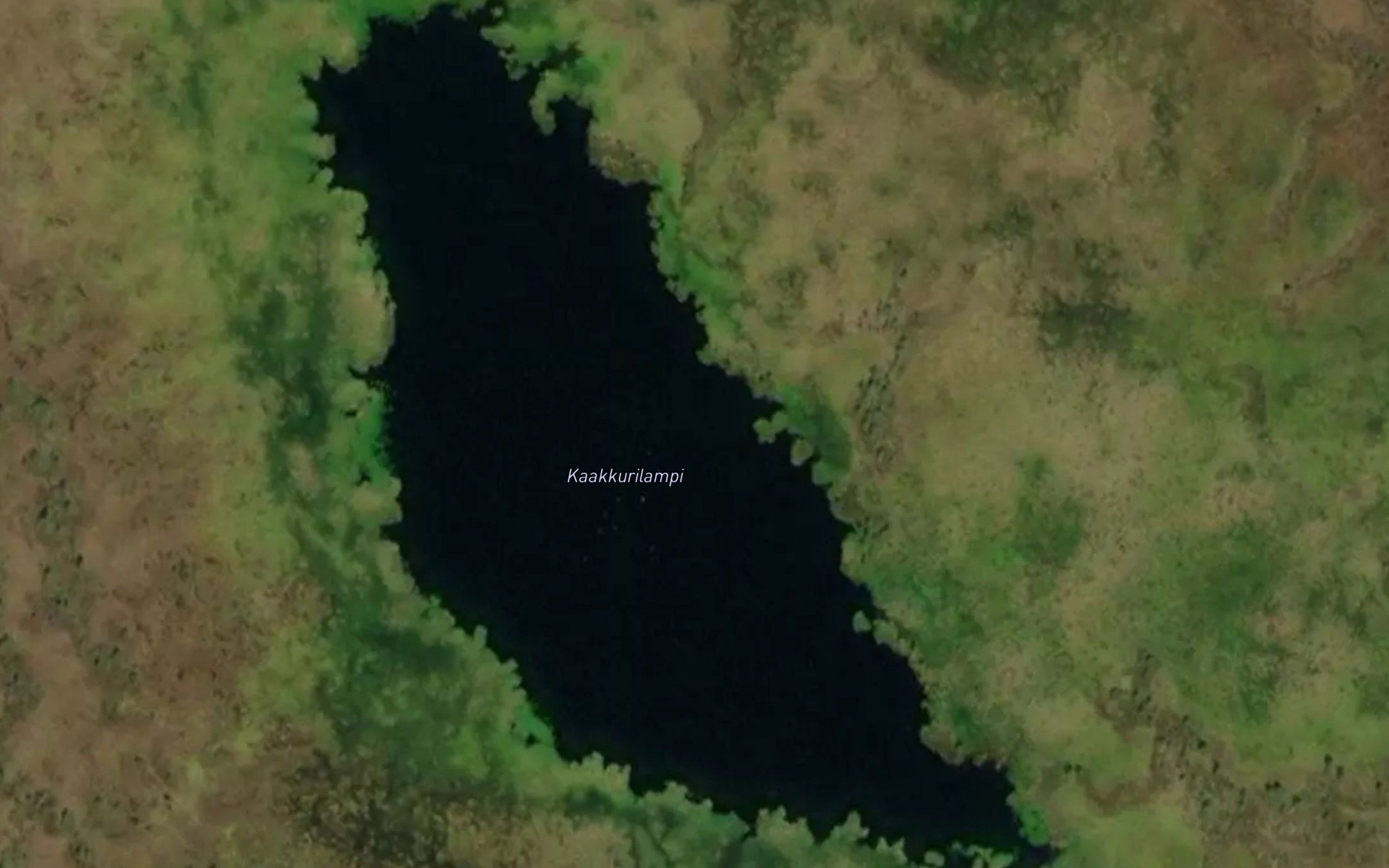 Kaakkurilampi
