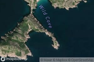 Wild Cove