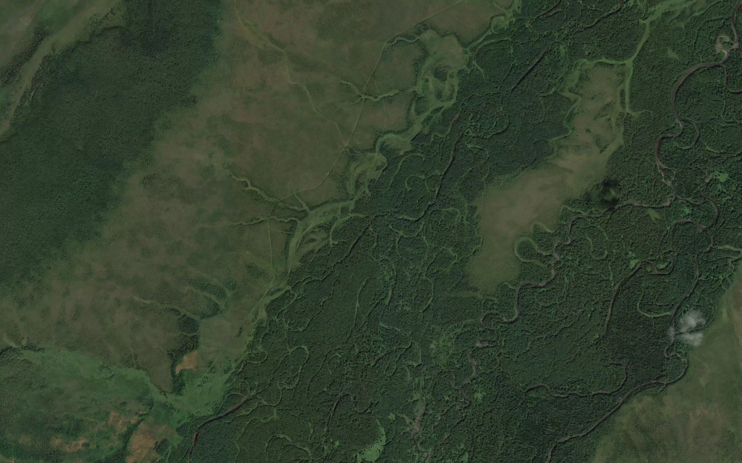 Angaula