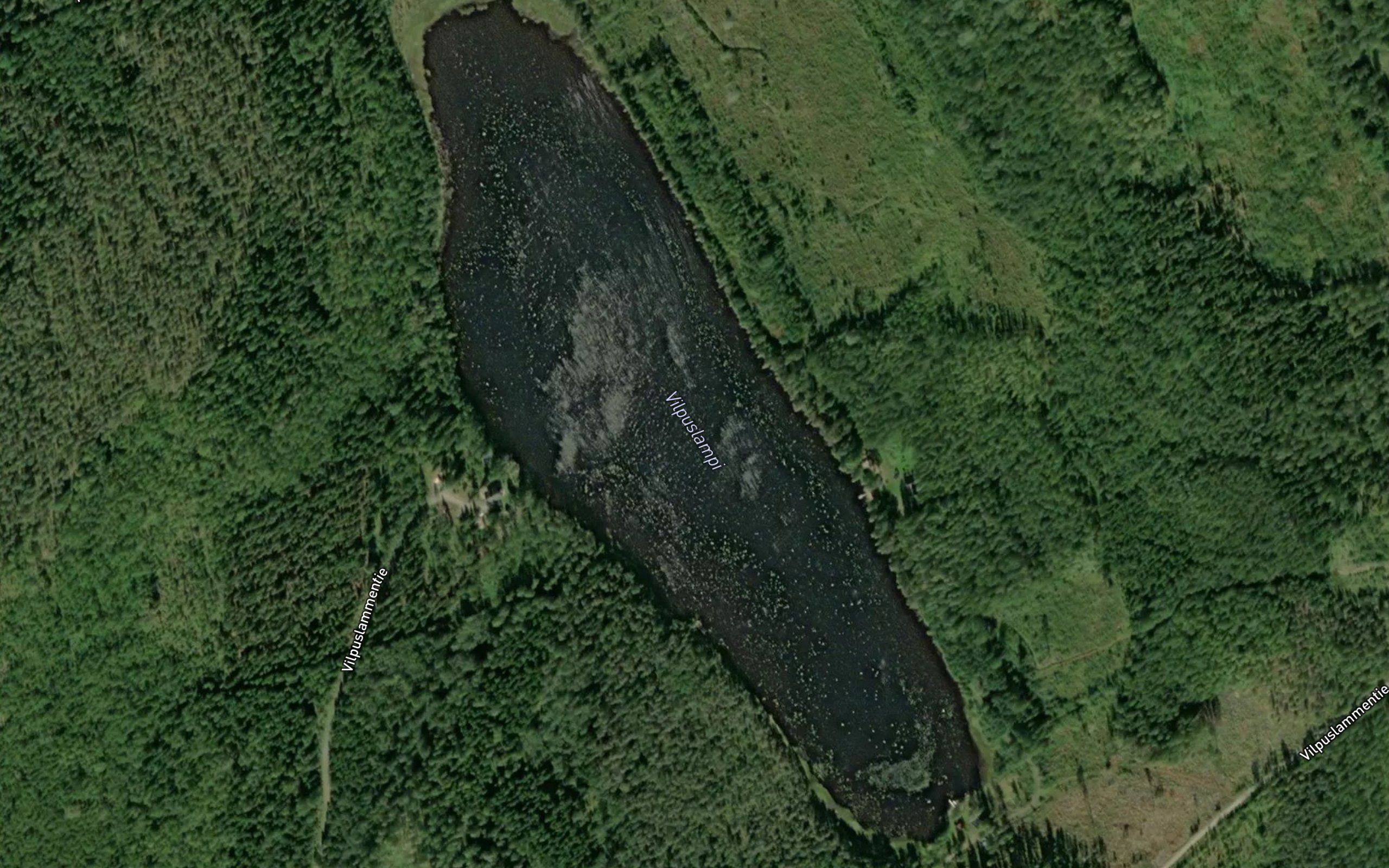 Vilpuslampi