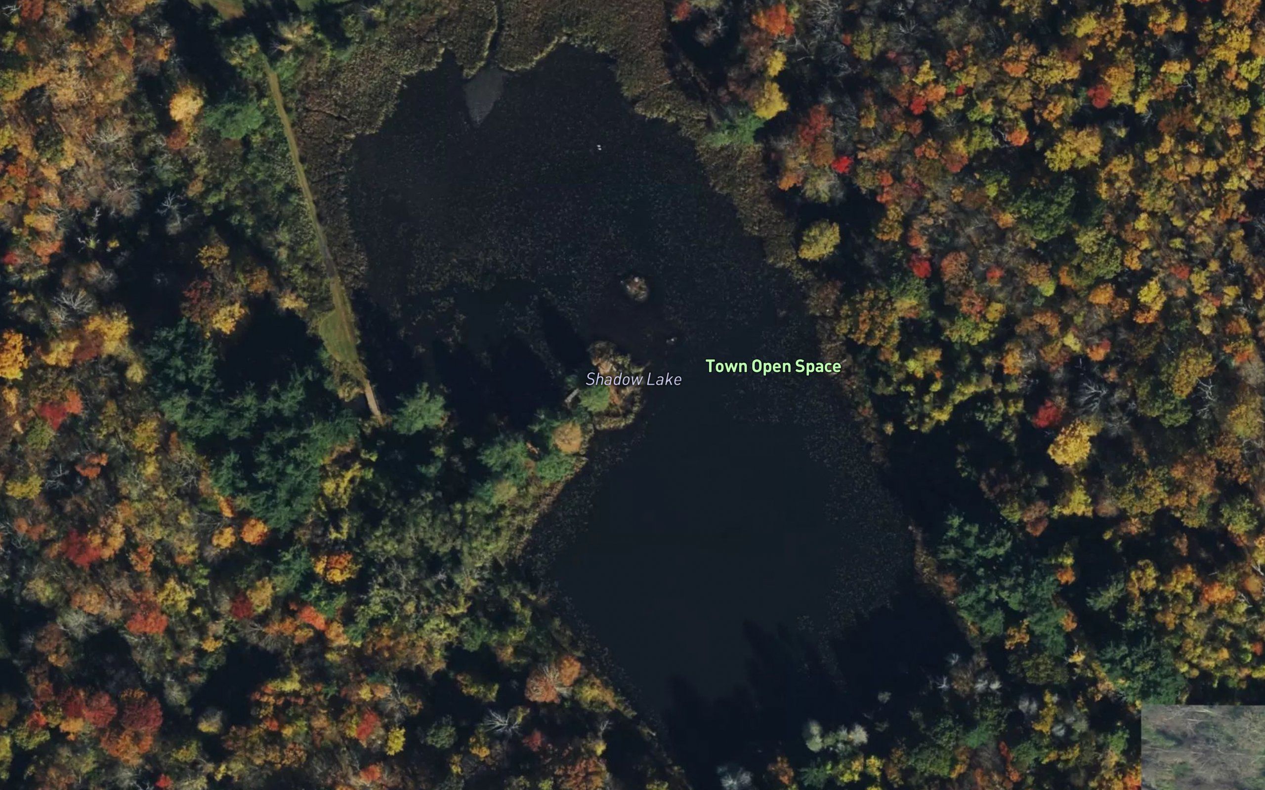 Shadow Lake