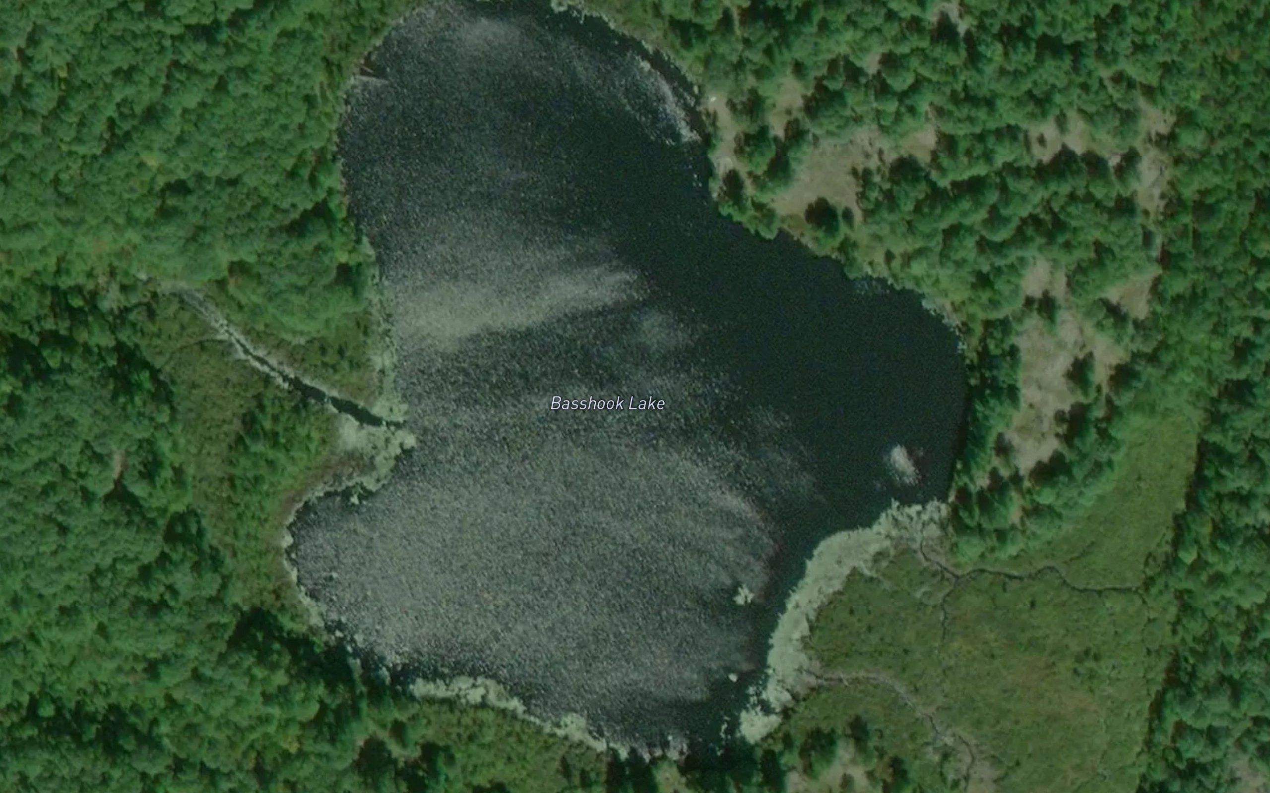 Basshook Lake