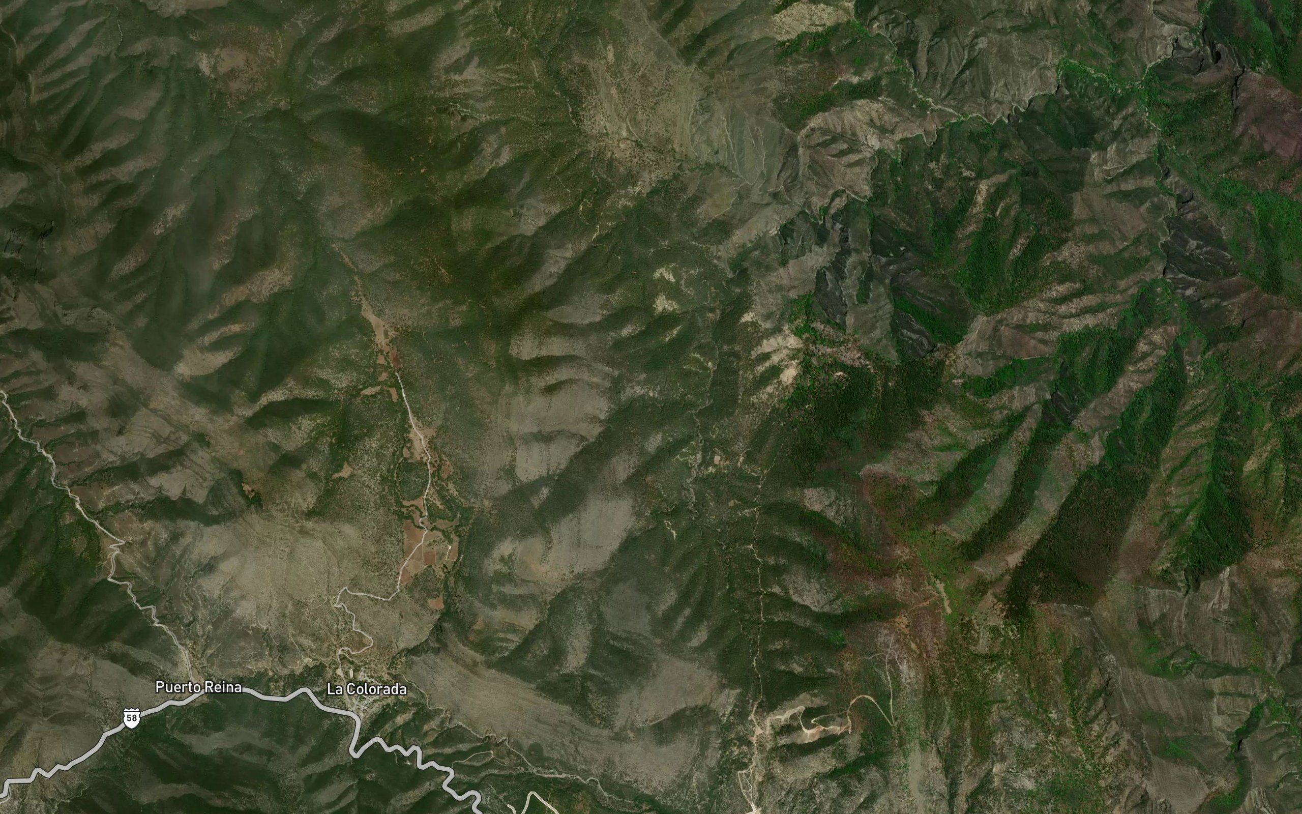 El Pino