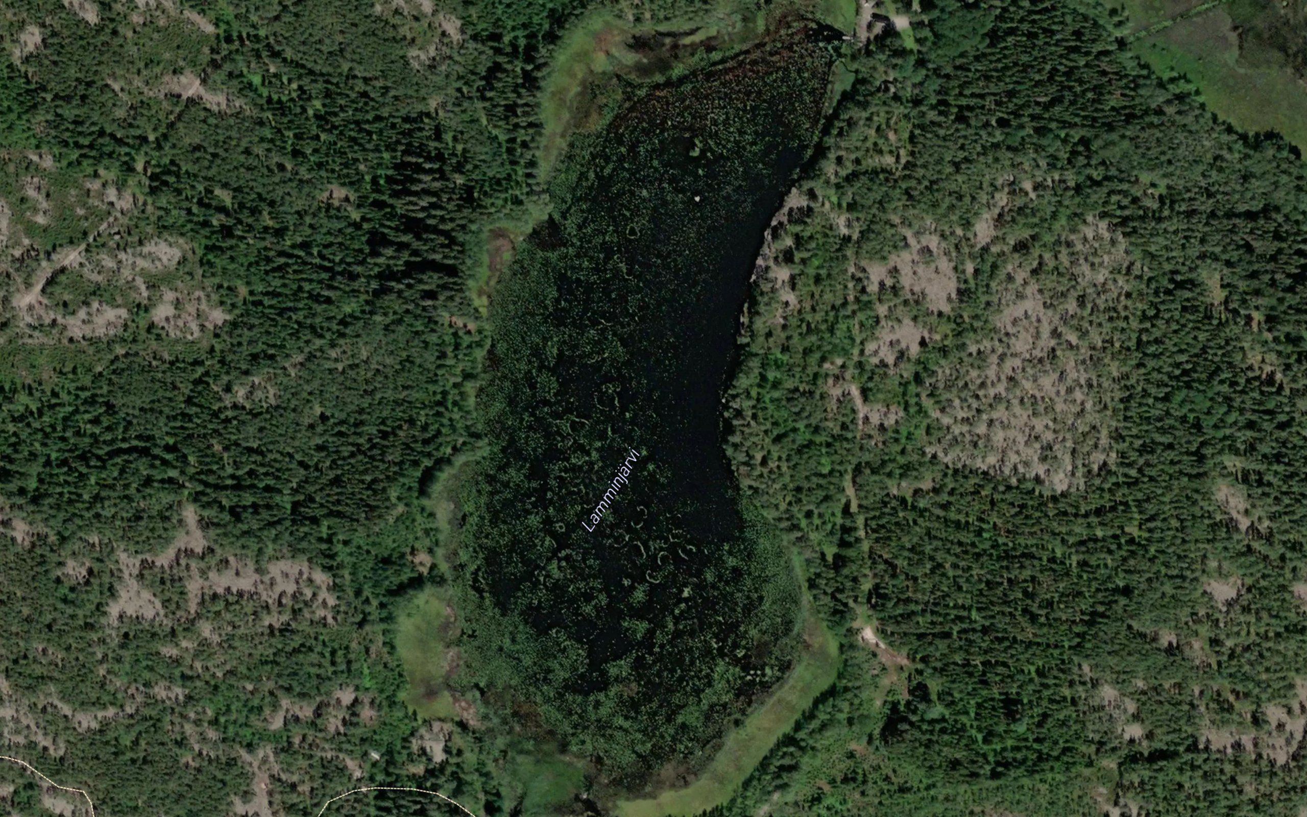 Lamminjarvi