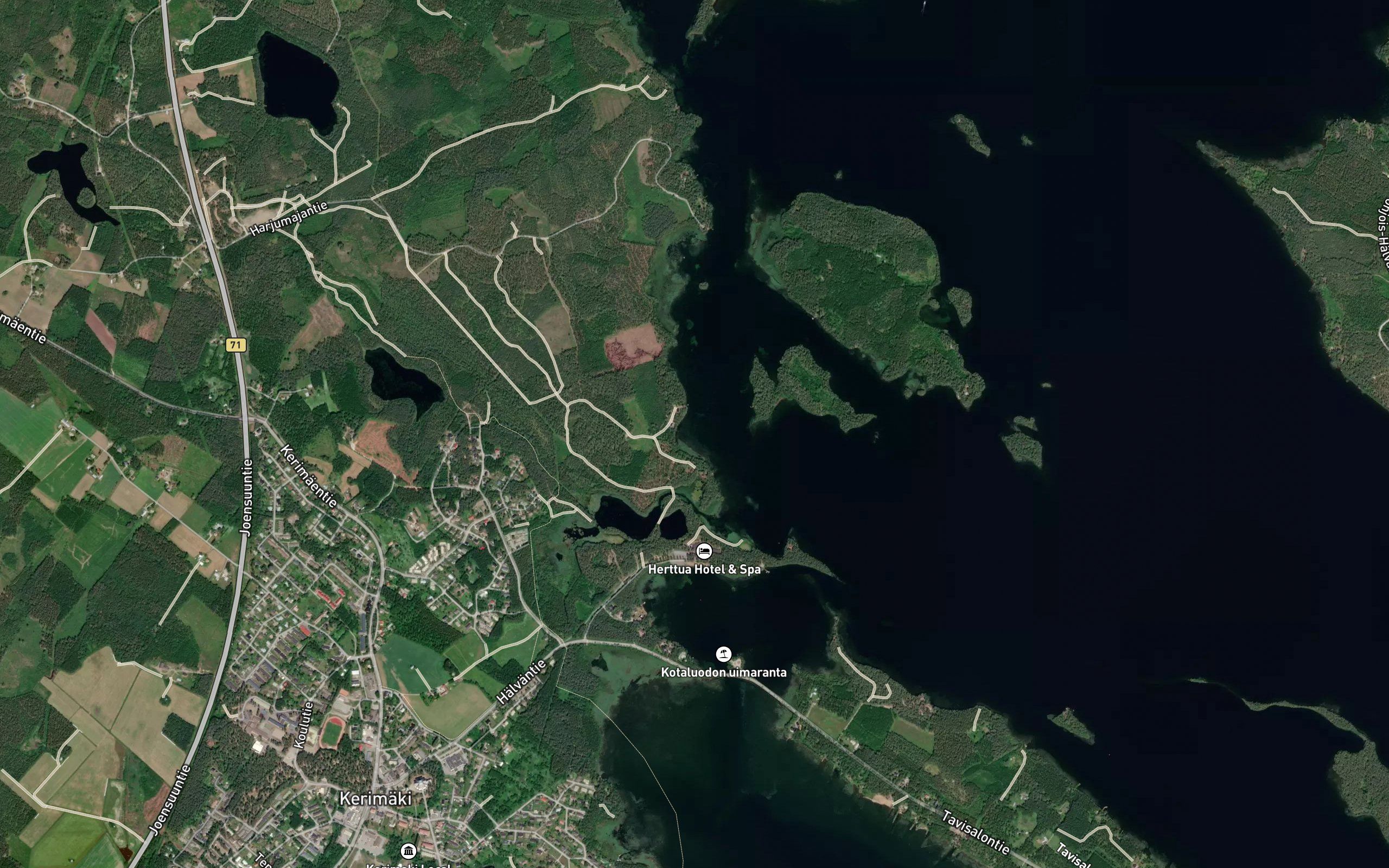 Tappulahti