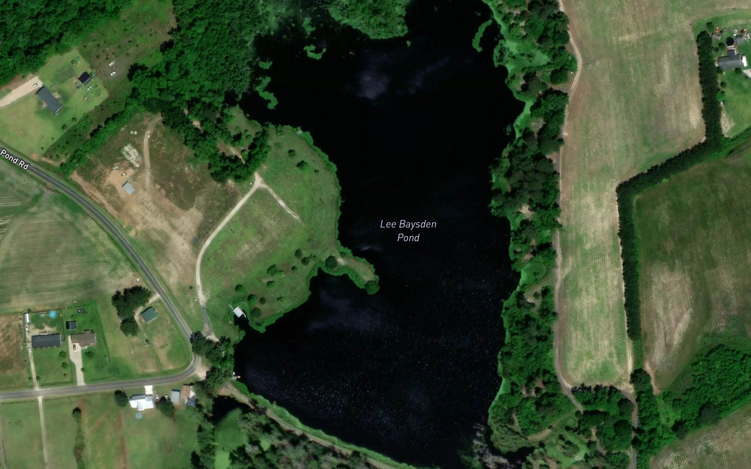 Lee Baysden Pond
