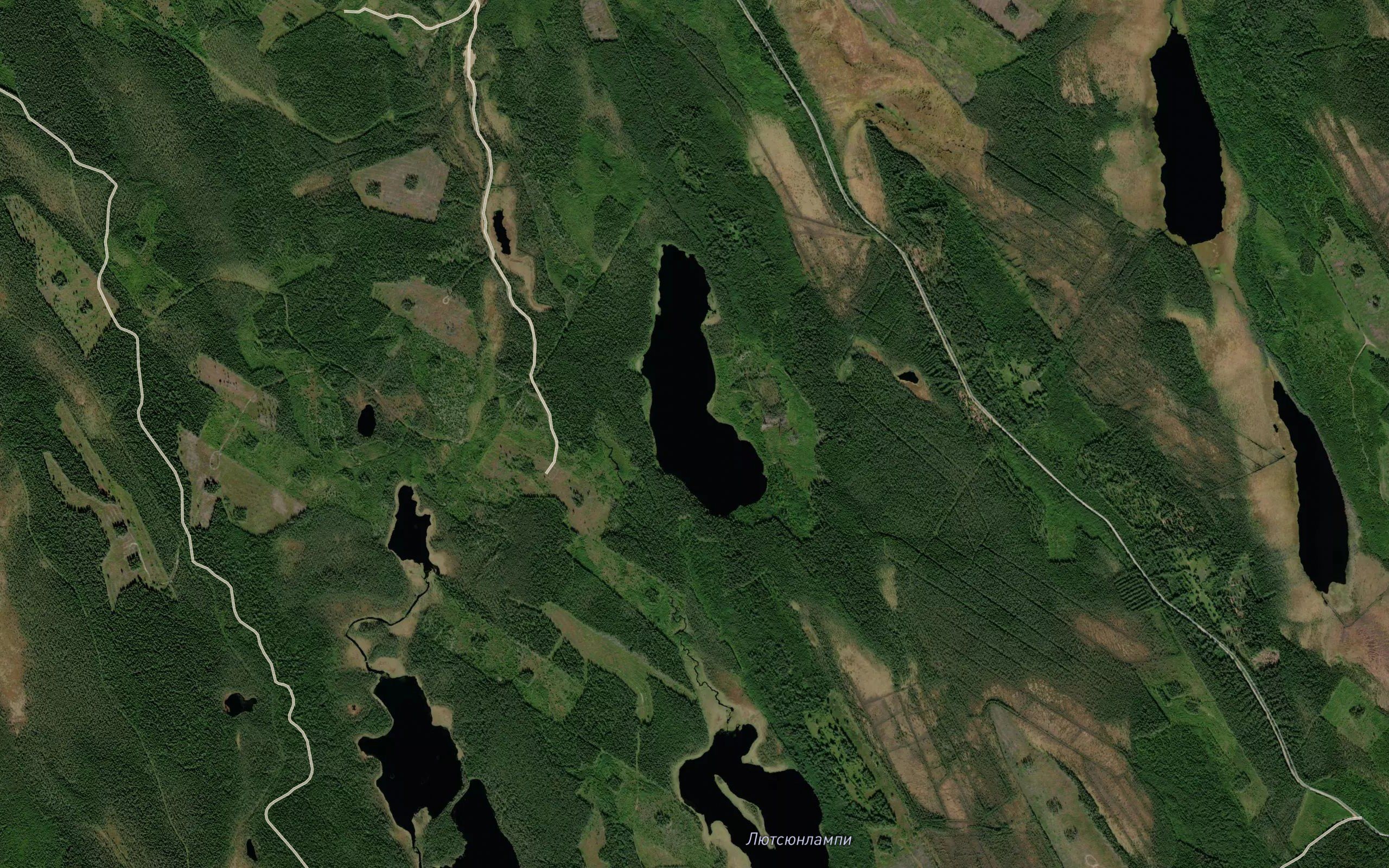 Korpijaervi
