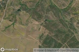 Ribeiro Vale de Figueiras