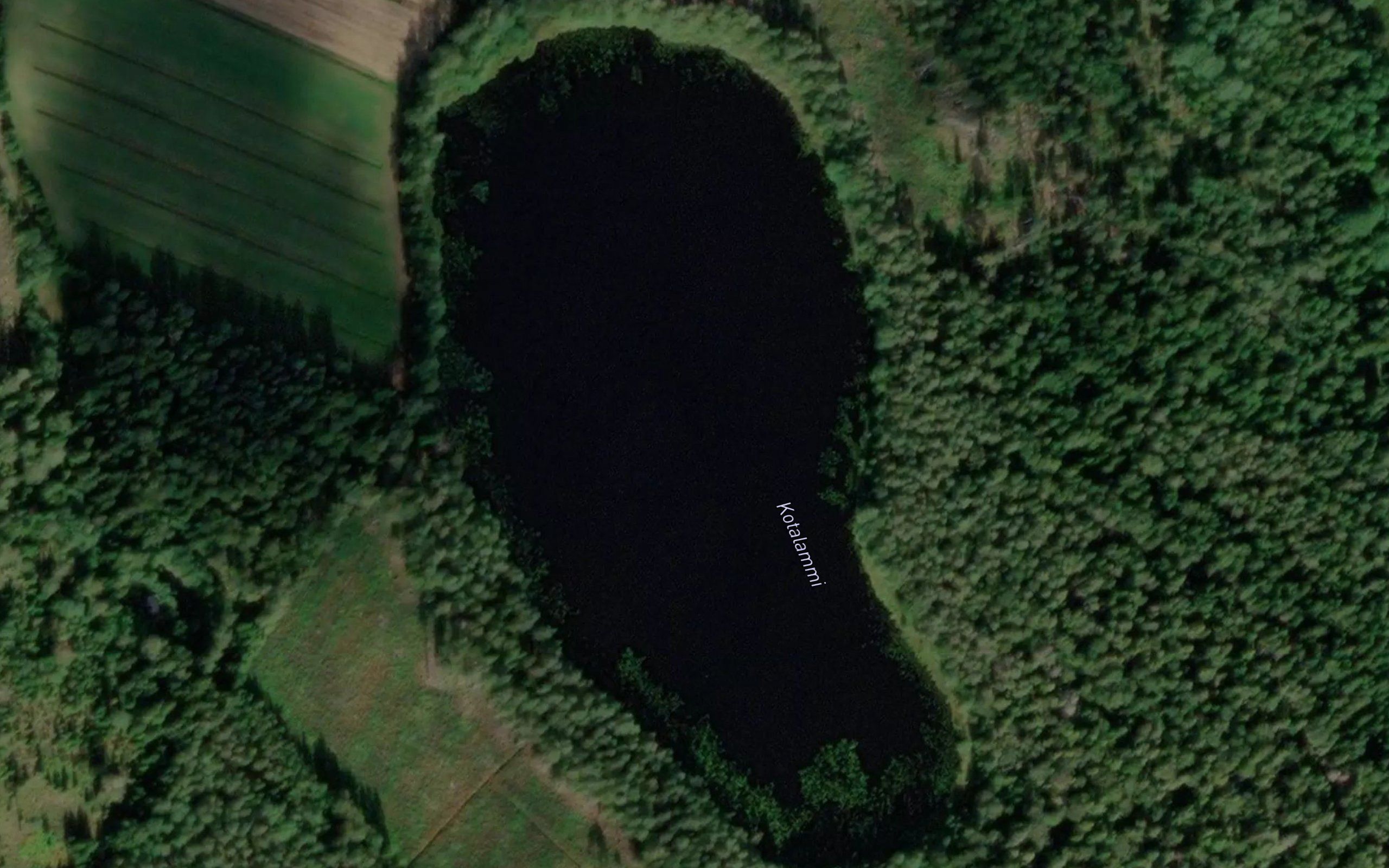 Kotalammi
