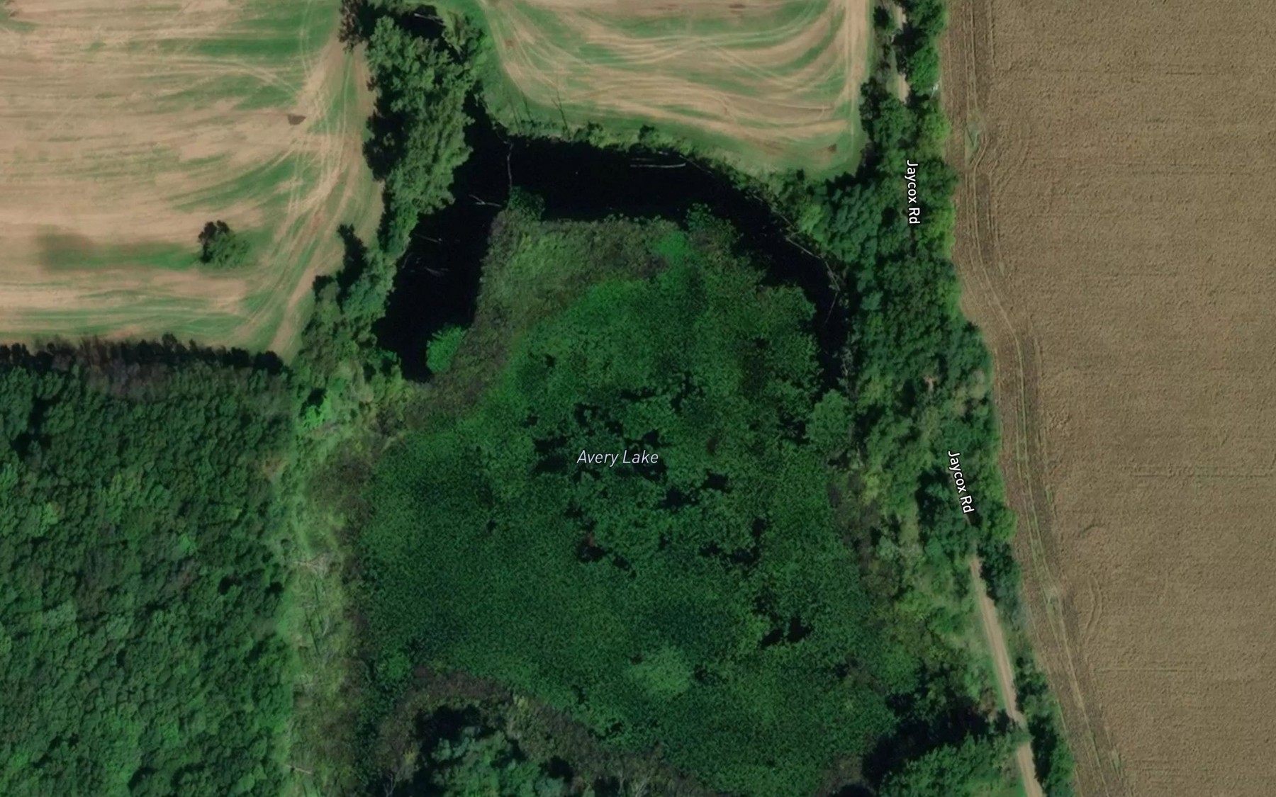 Satellite map of the Avery Lake