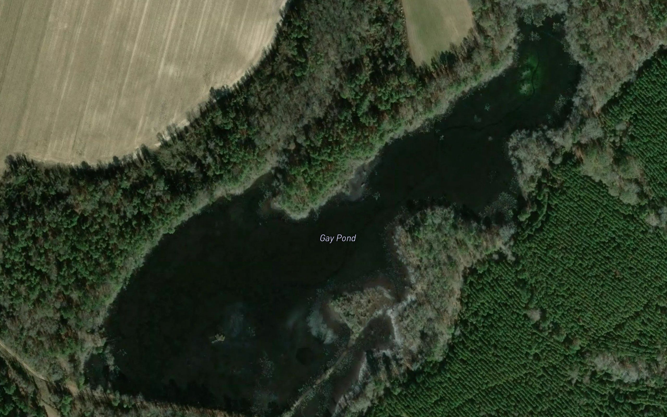 Gay Pond