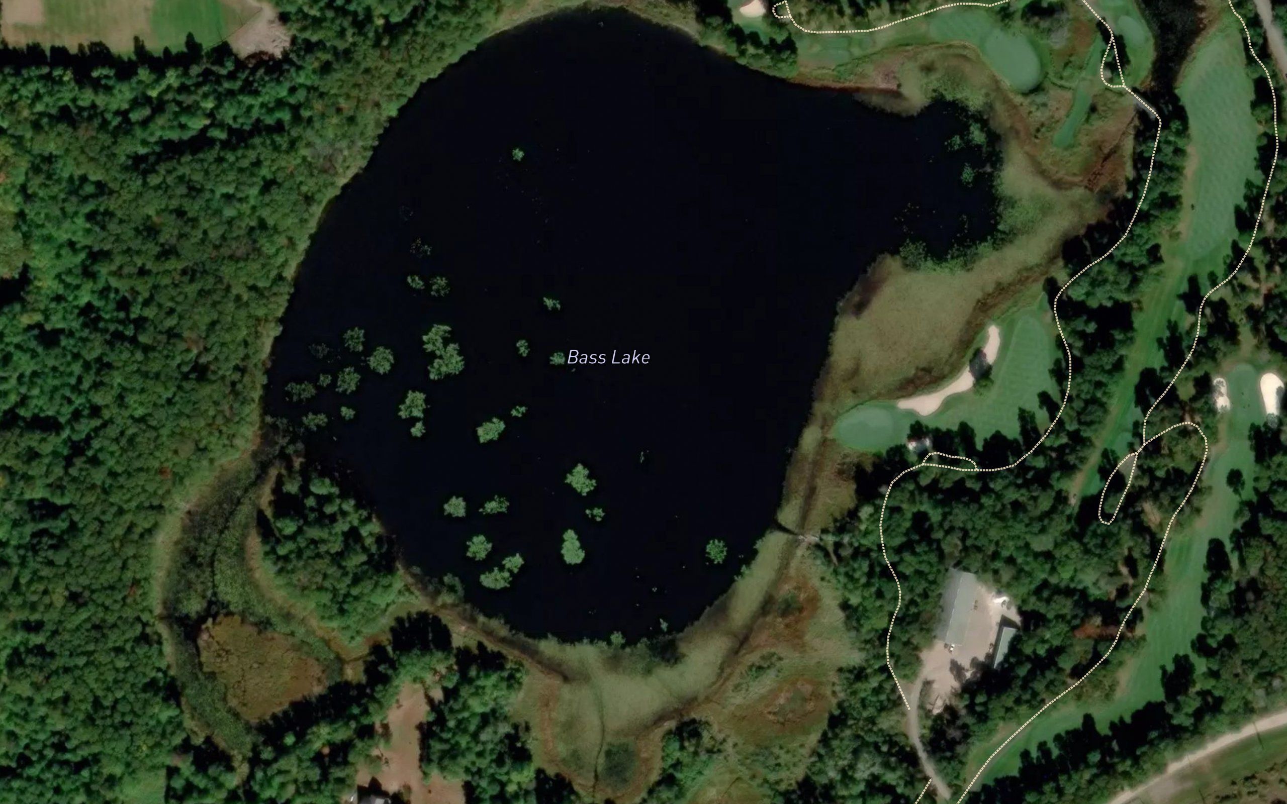 Bass Lake