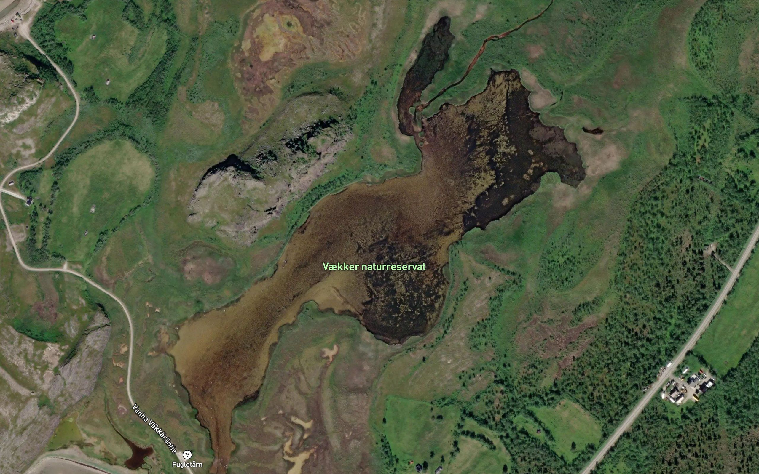 Algajavri