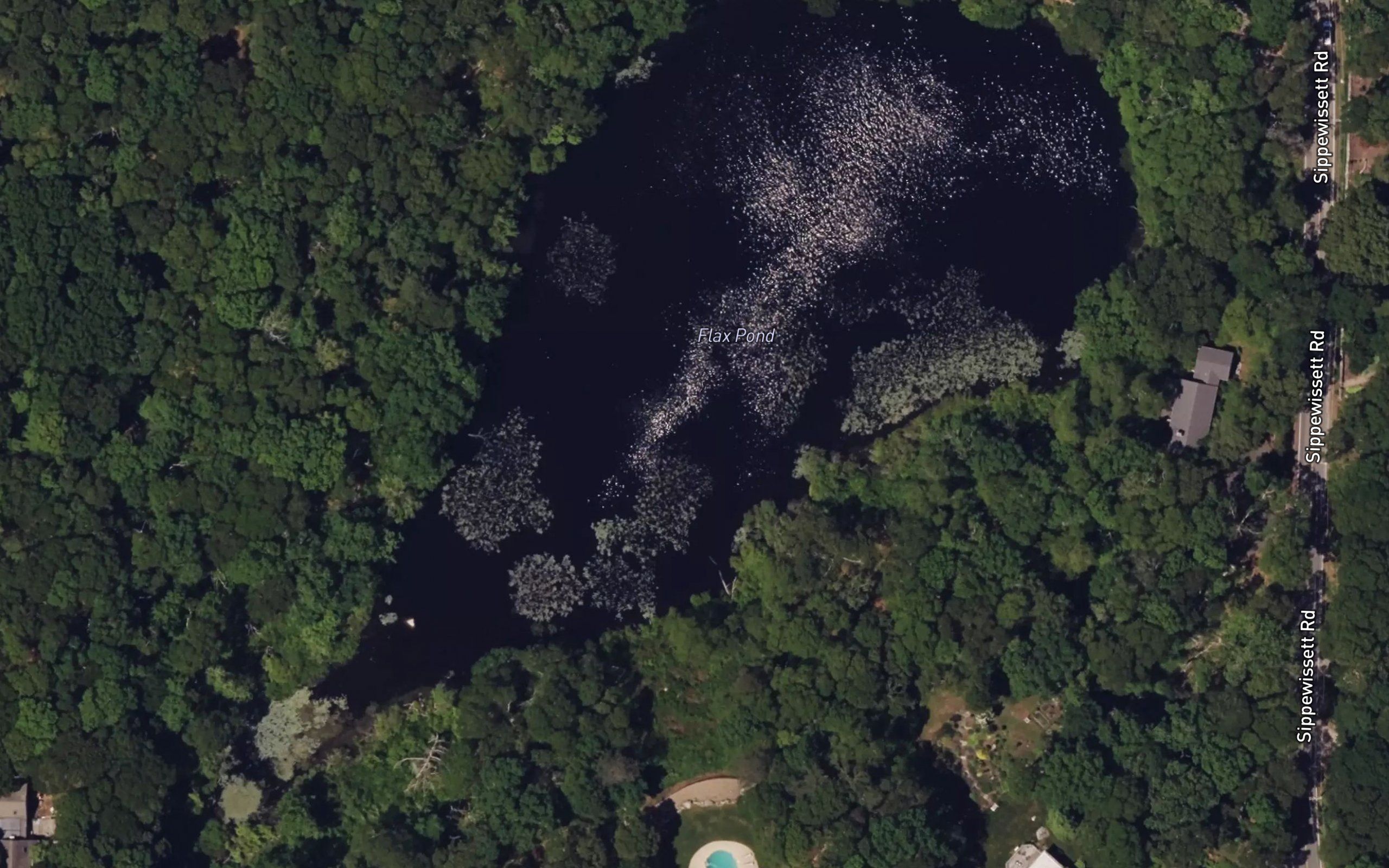 Flax Pond