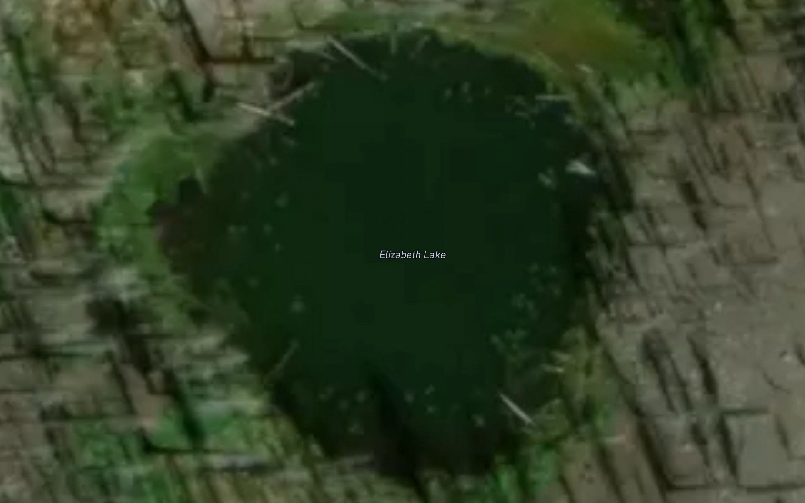 Elizabeth Lake