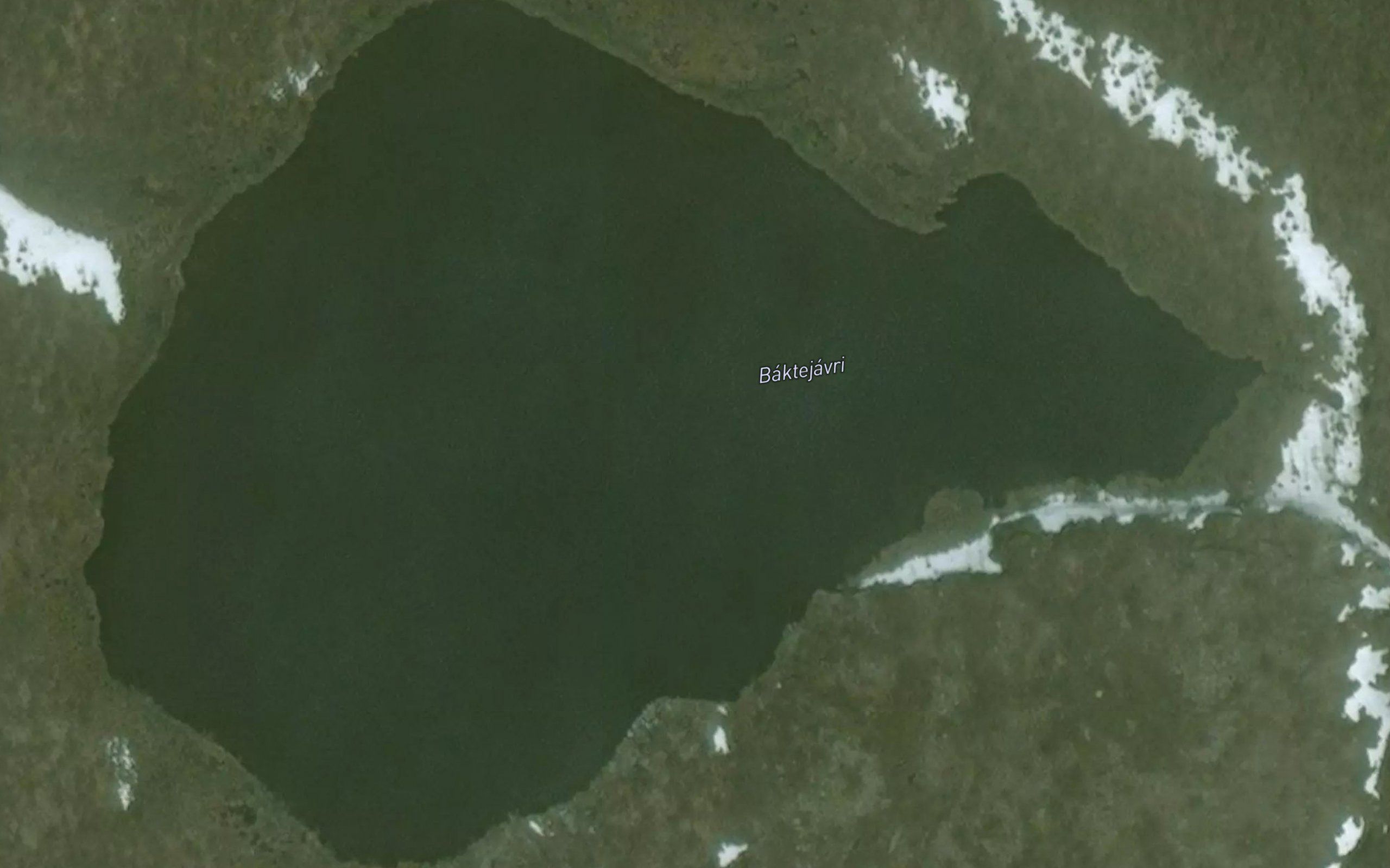 Baktejavri