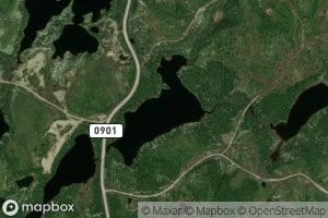 Lac Dino