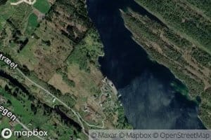 Blomskogviki