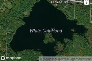 White Oak Pond