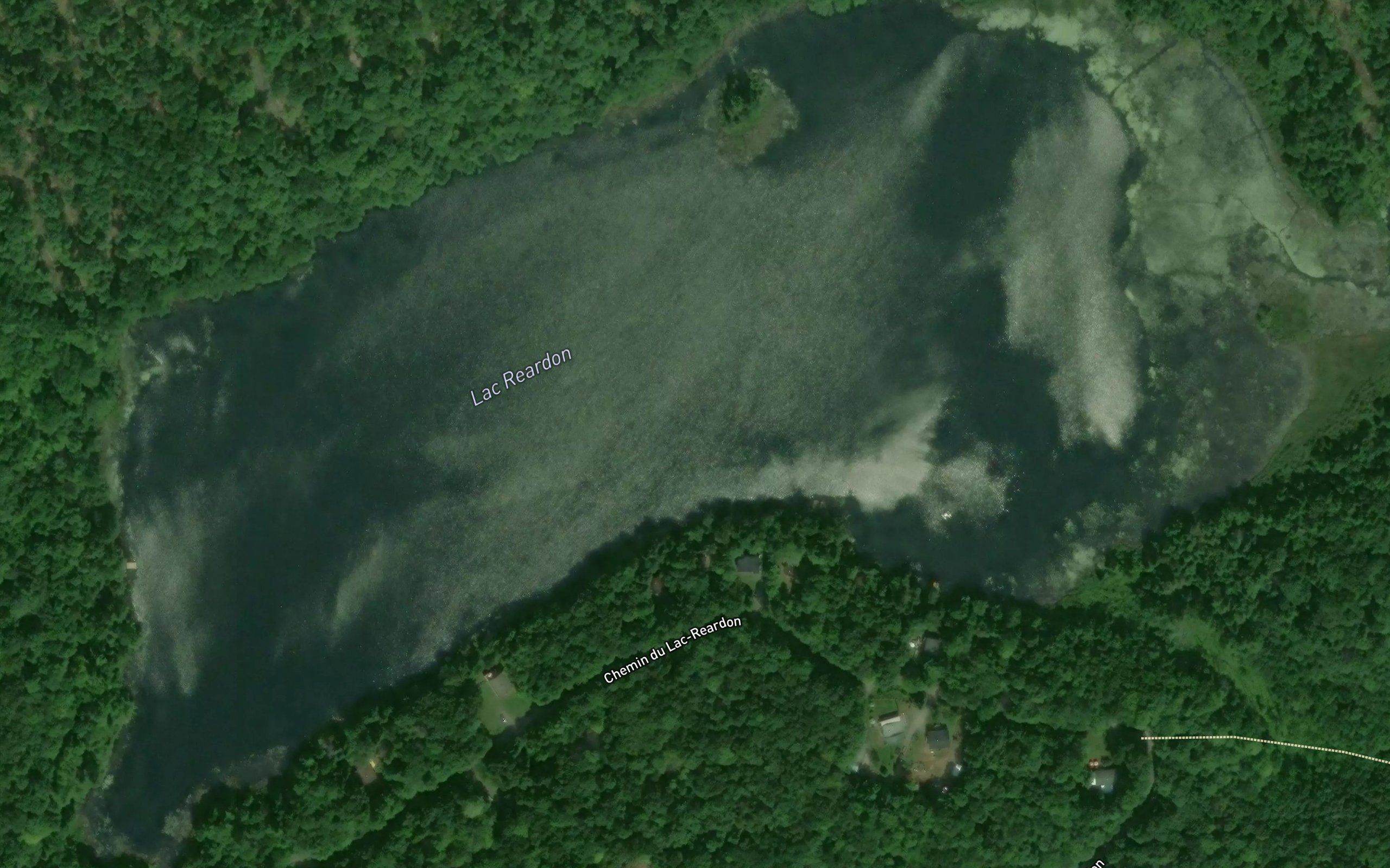 Lac Reardon