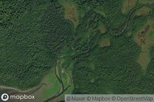 East Fork Olsen Bay Creek