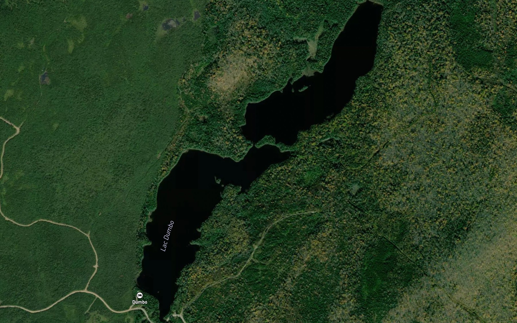 Satellite map of the Lac Dumbo