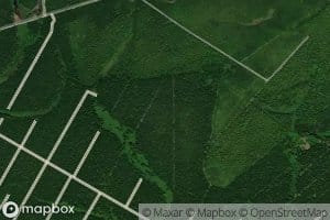 Quebrada El Palmichal