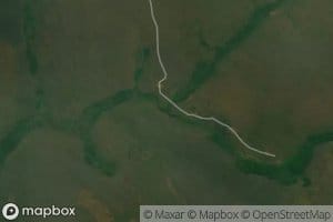 Matongo