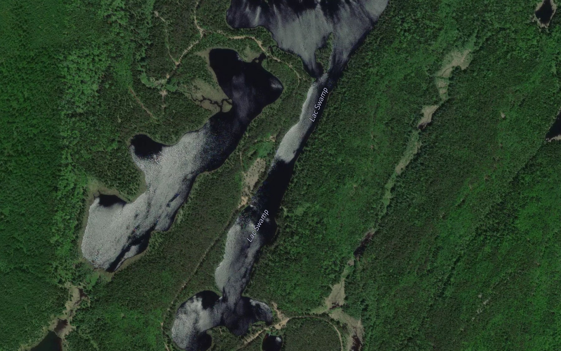 Satellite map of the Lac Swamp