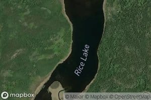 Rice Lake