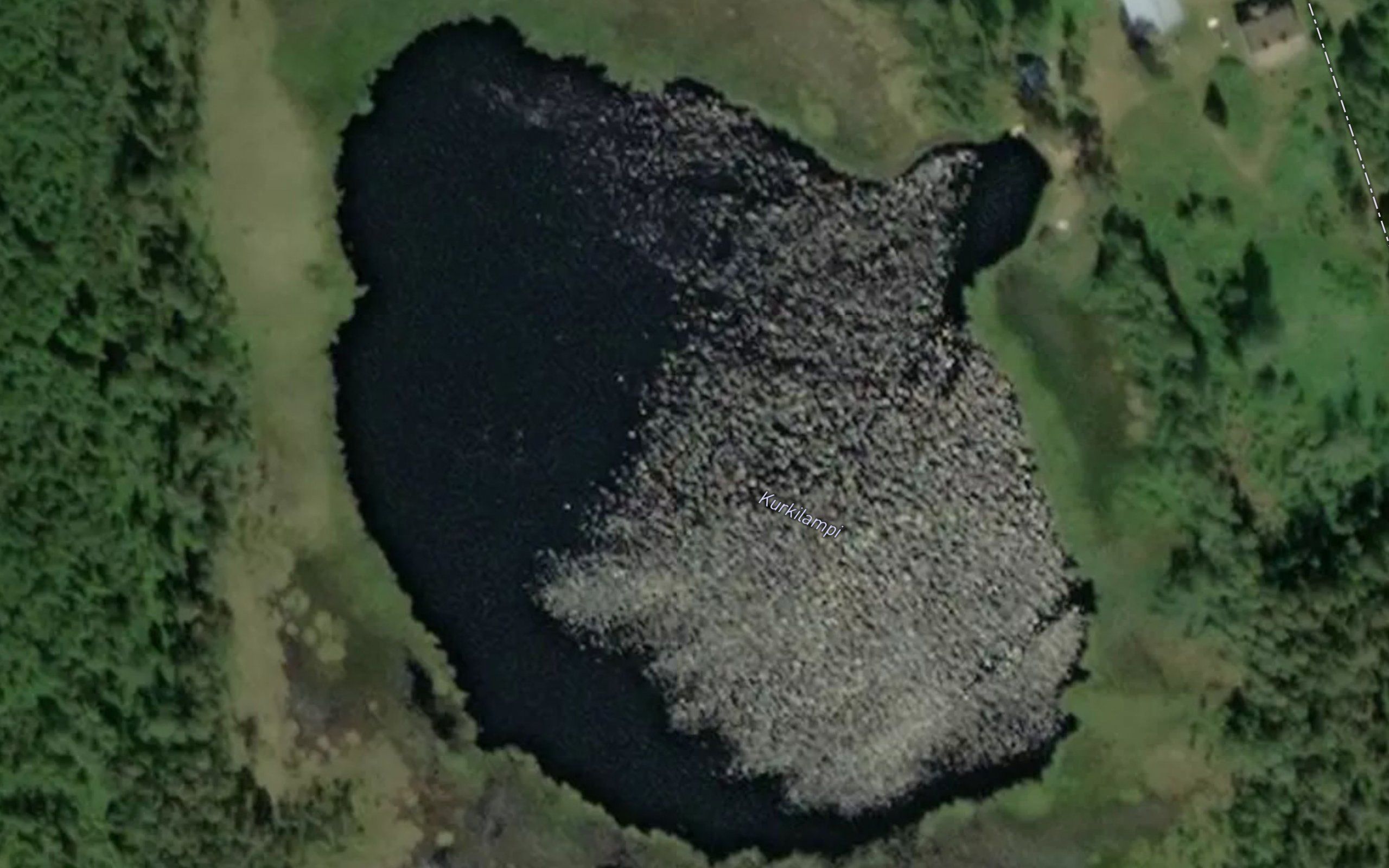 Kurkilampi