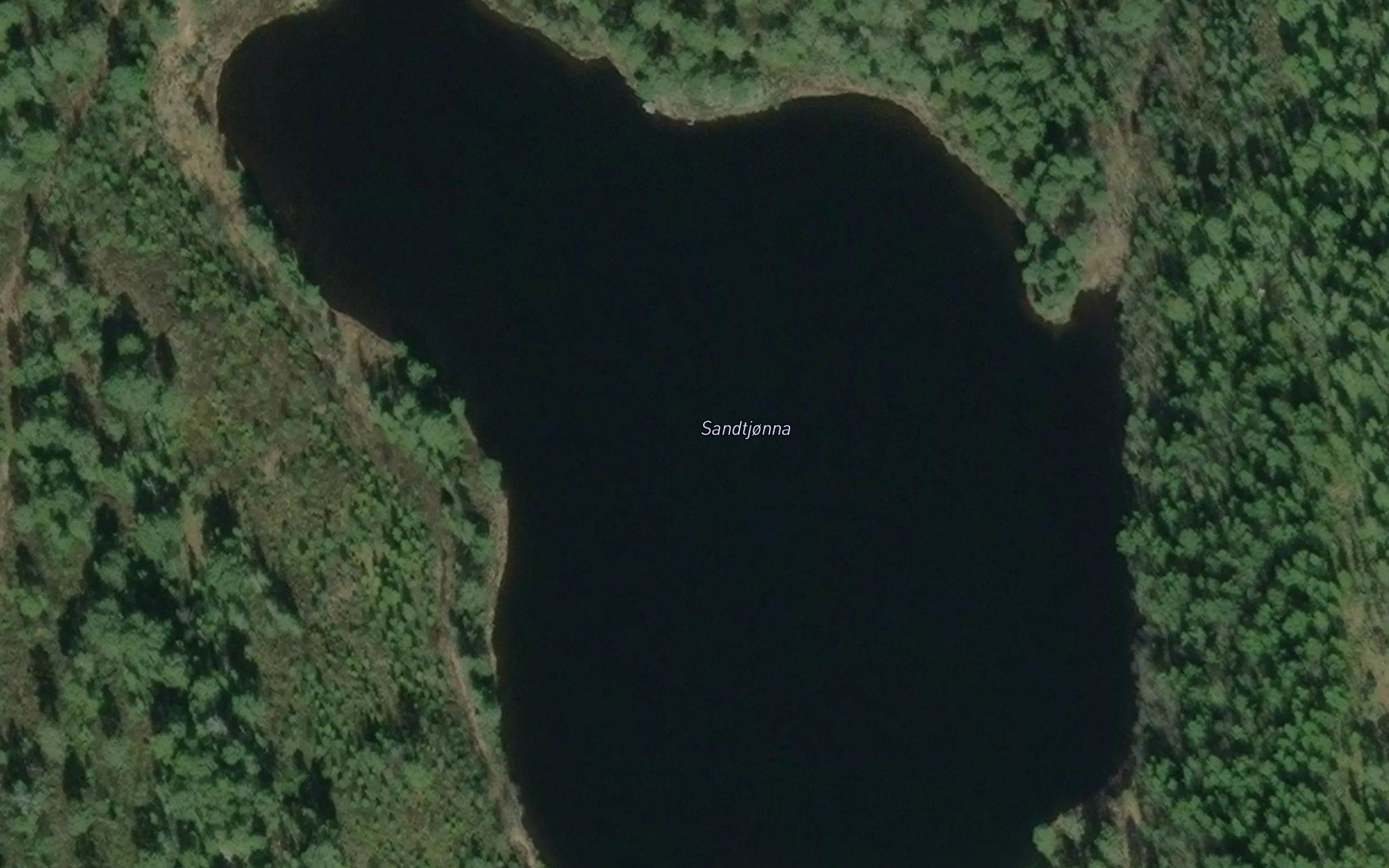 Sandtjorna