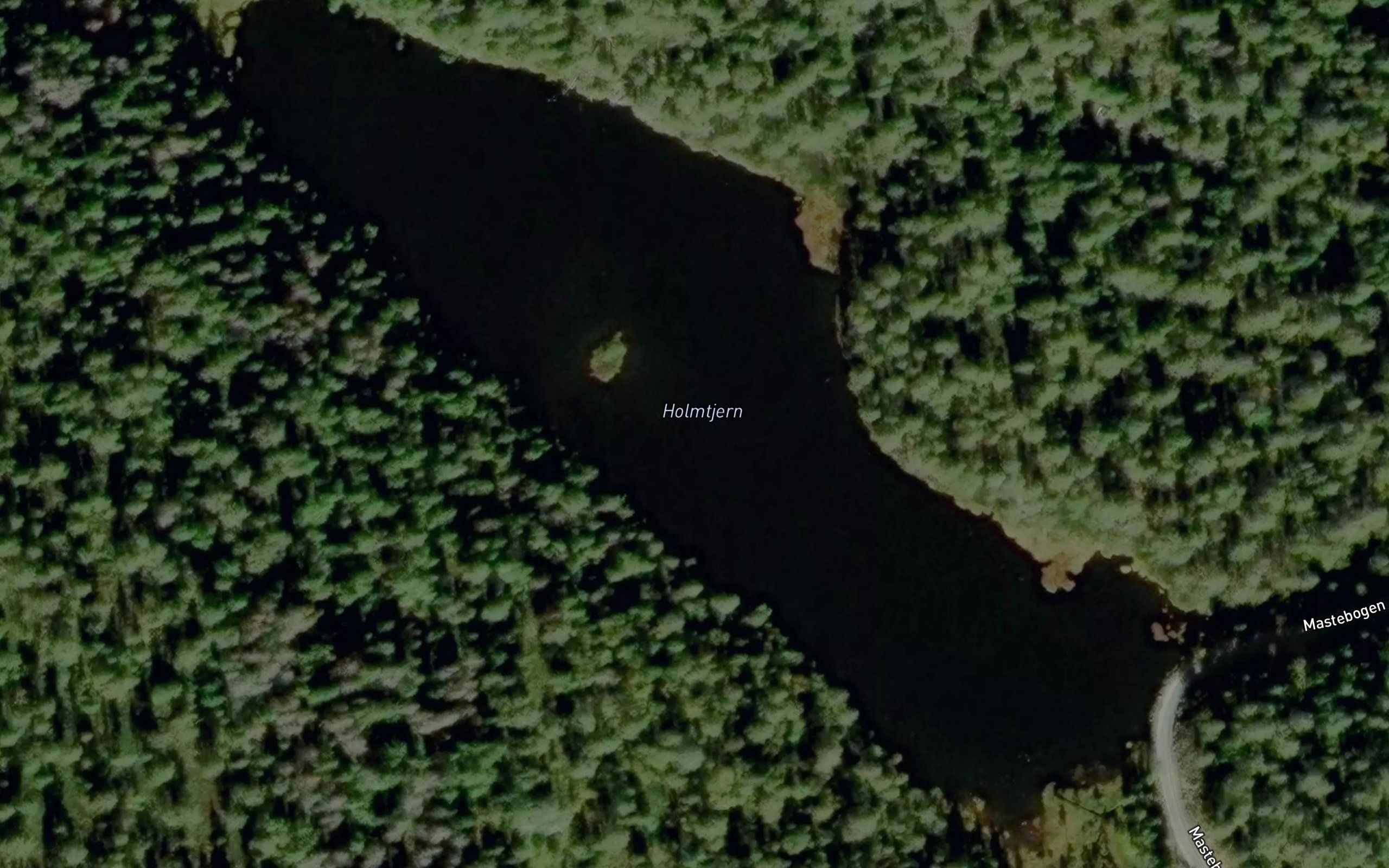 Holmtjern