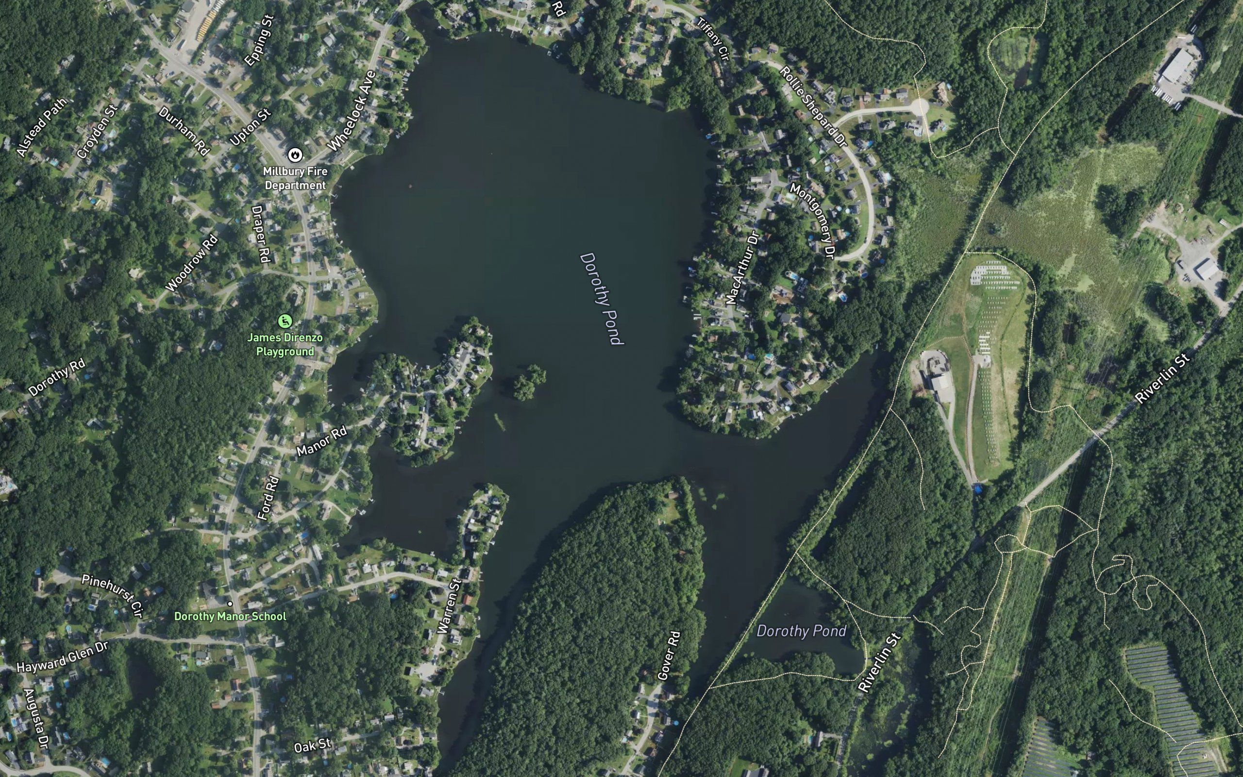 Dorothy Pond