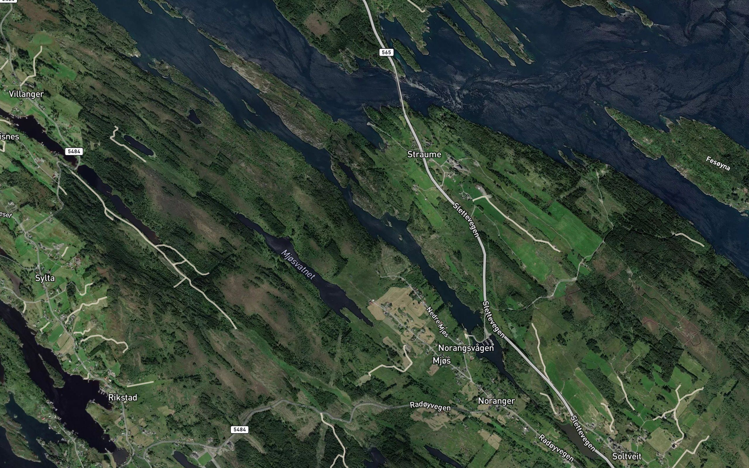 Ostevika