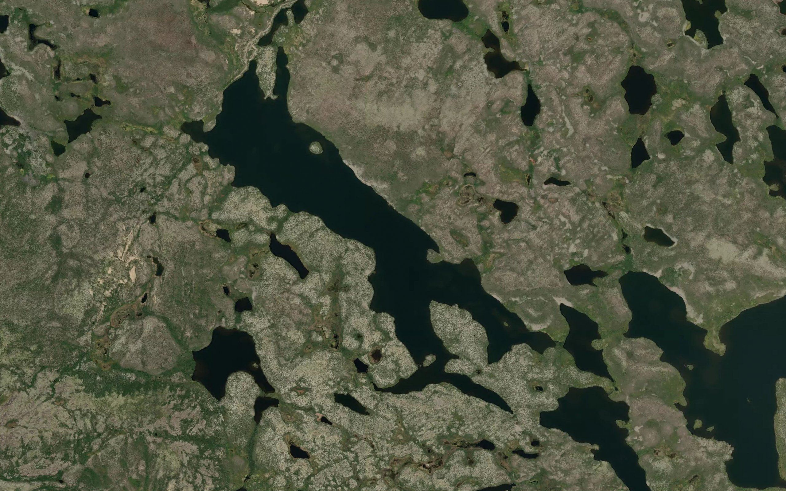 Welburn Lake