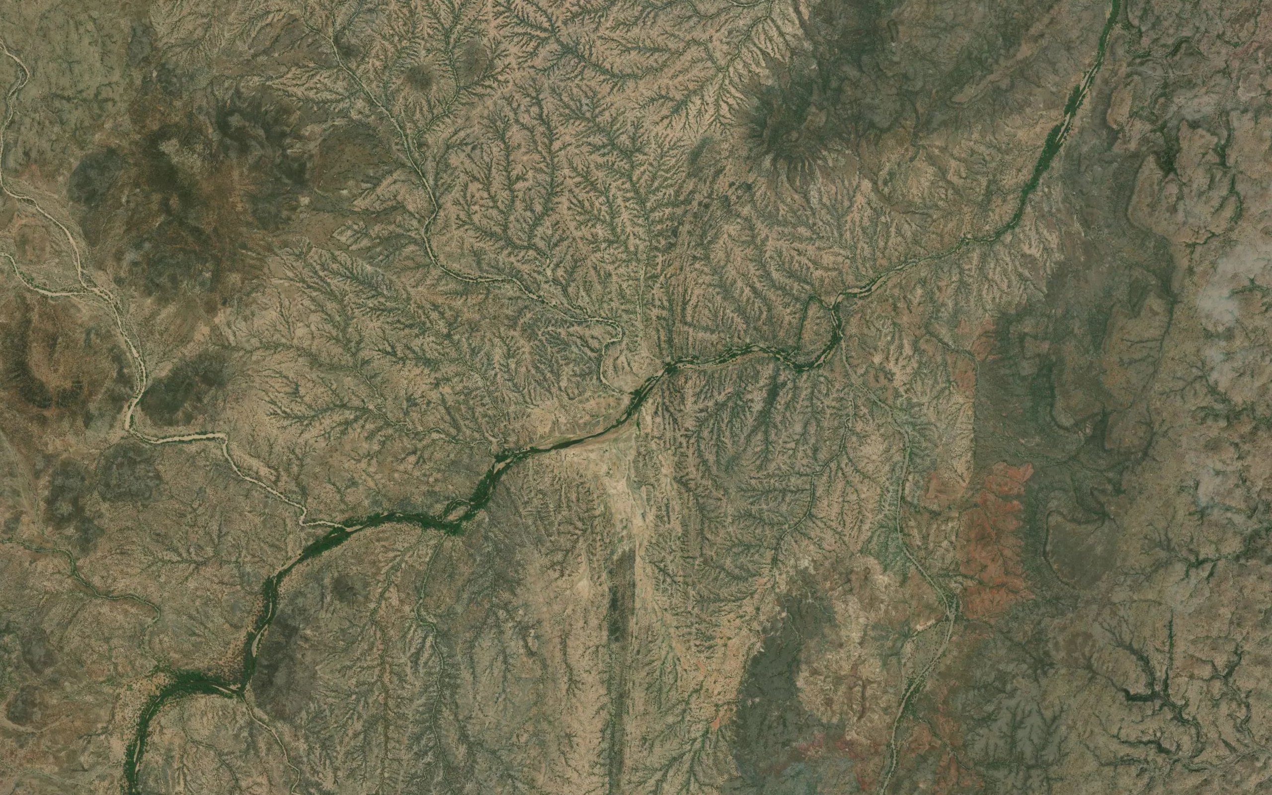Aguli