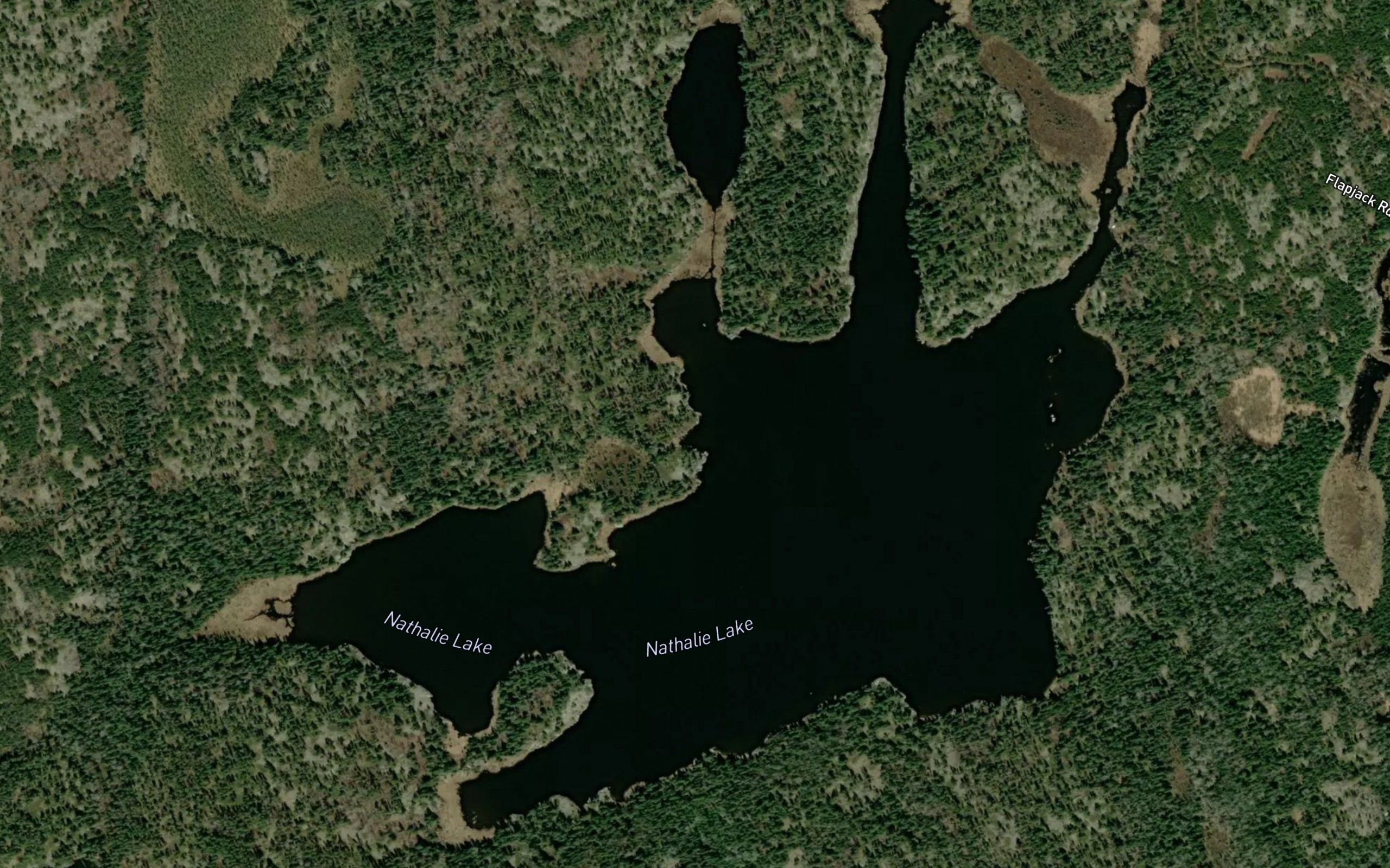 Nathalie Lake